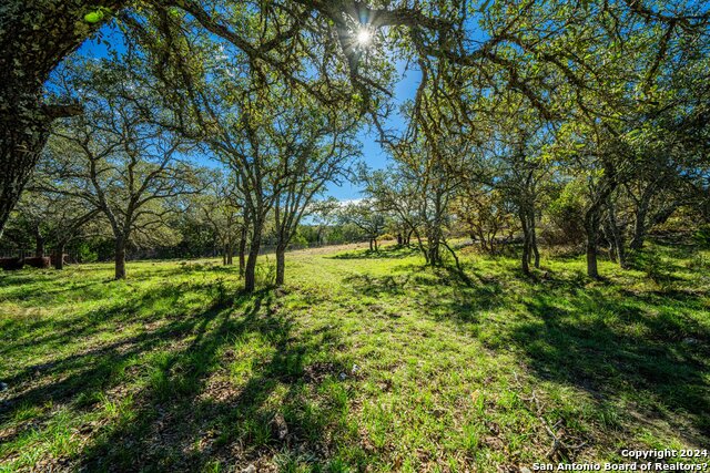 342 Mealy Sage Rd, Harper, Texas, 78631, United States, 4 Bedrooms Bedrooms, ,2 BathroomsBathrooms,Residential,For Sale,342 Mealy Sage Rd,1463716