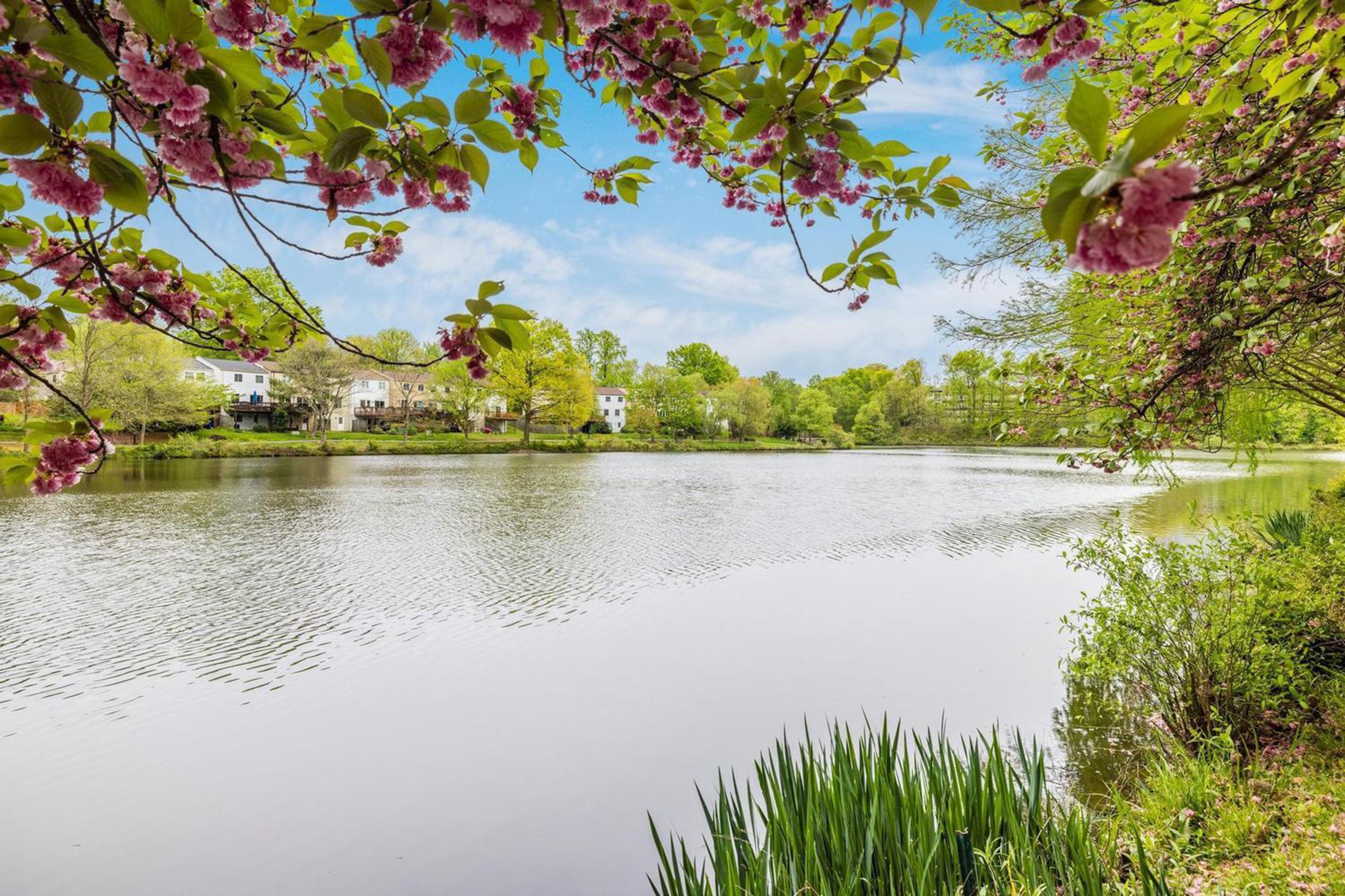  2922 Bridgehampton Court, Falls Church, VA 22042 - 物件實景