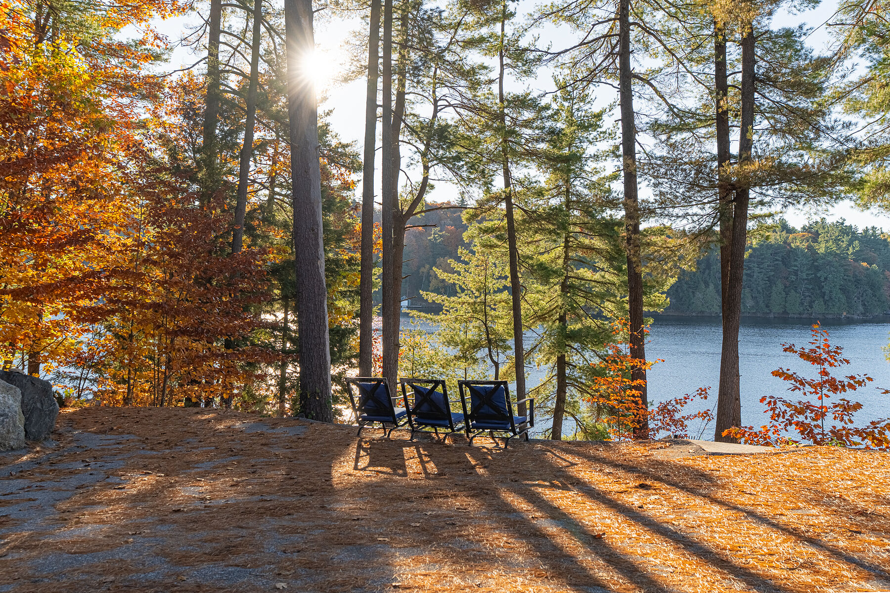  Turnkey Port Carling Retreat - 物件實景