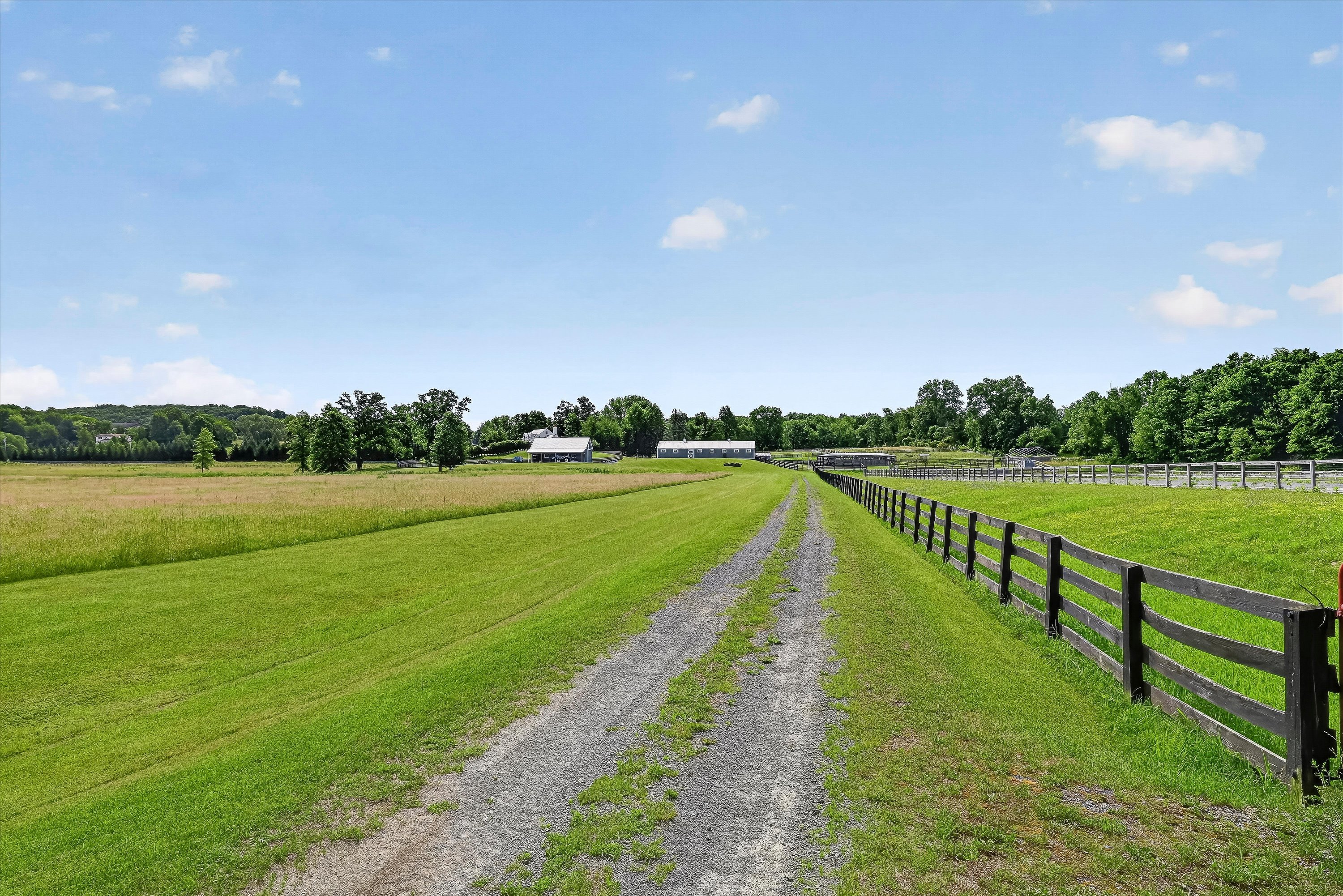  Bucolic Equine Estate - 物件實景