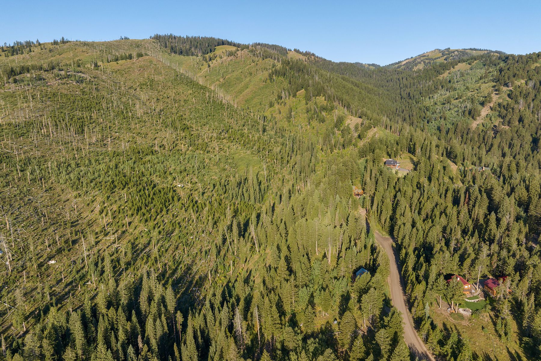  Wilson Acreage Bordering Bridger-Teton National Forest - 物件實景