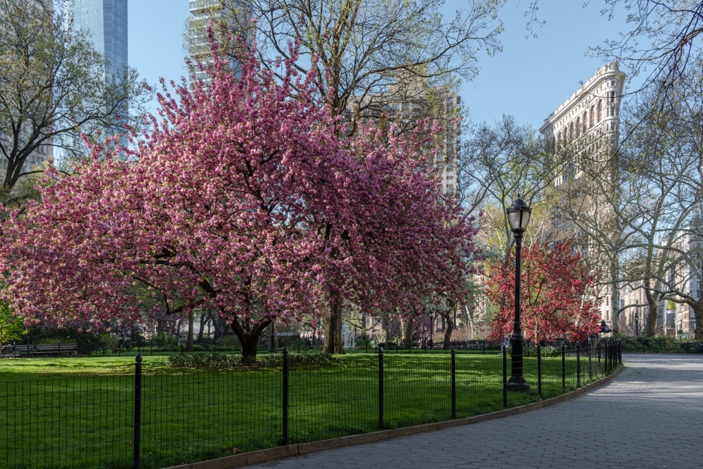 New York City, New York, 10010, United States, 3 Bedrooms Bedrooms, ,4 BathroomsBathrooms,Residential,For Sale,1911092
