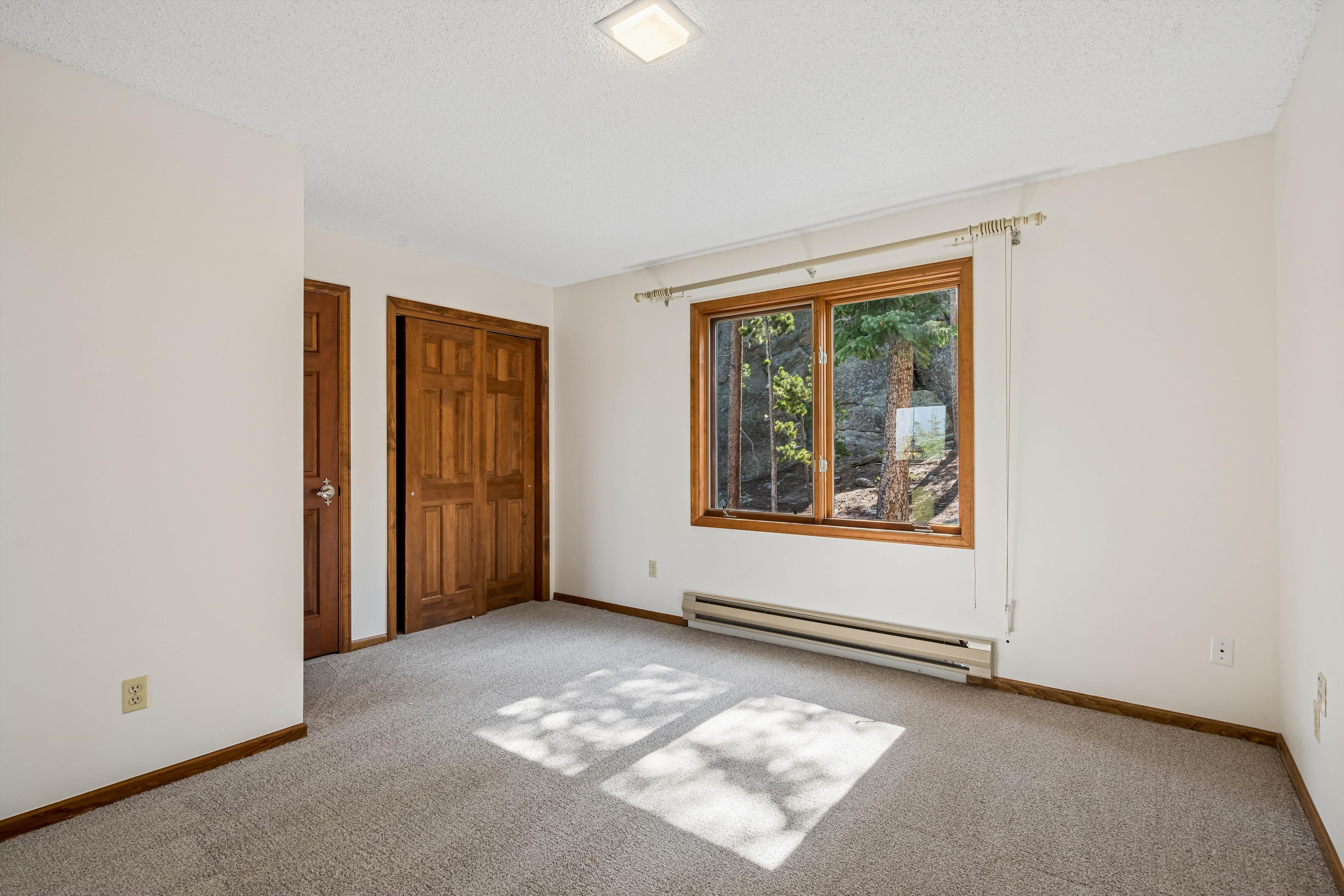  Colorado Mountain Living on 5.29 Wood/Sloping Acres - 物件實景