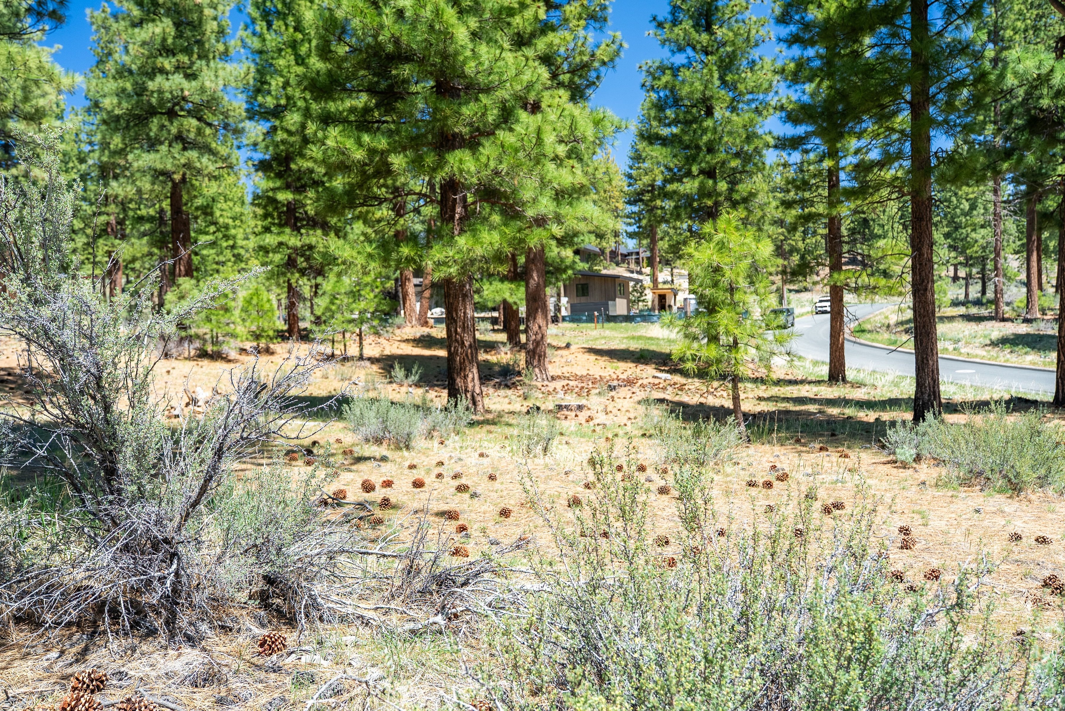 Two Extraordinary Pieces of Land in Clear Creek Tahoe - 物件實景