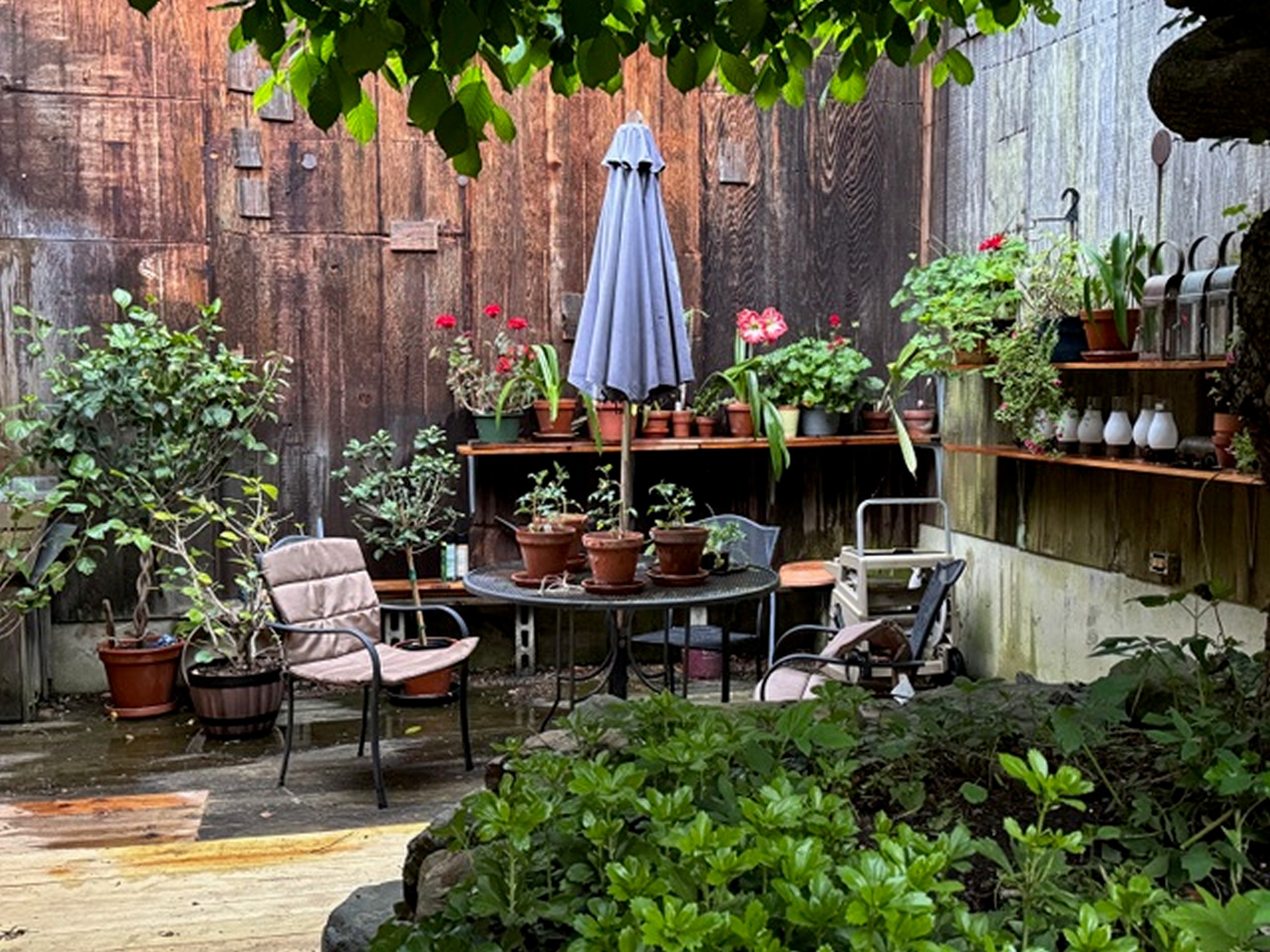  49 South Street - 物件實景