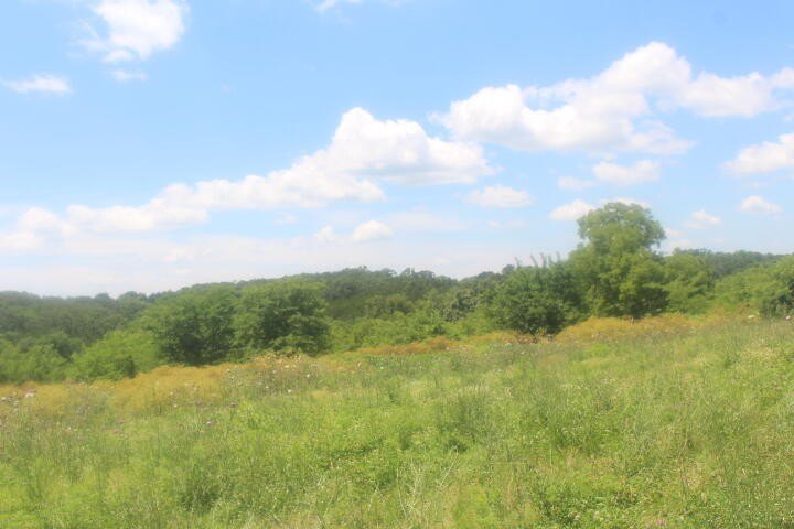 Polk, Missouri, 65727, United States, ,Land,For Sale,1980569