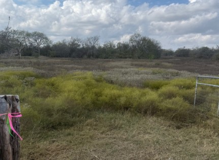 Runge, Texas, 78151, United States, ,Residential,For Sale,1996631