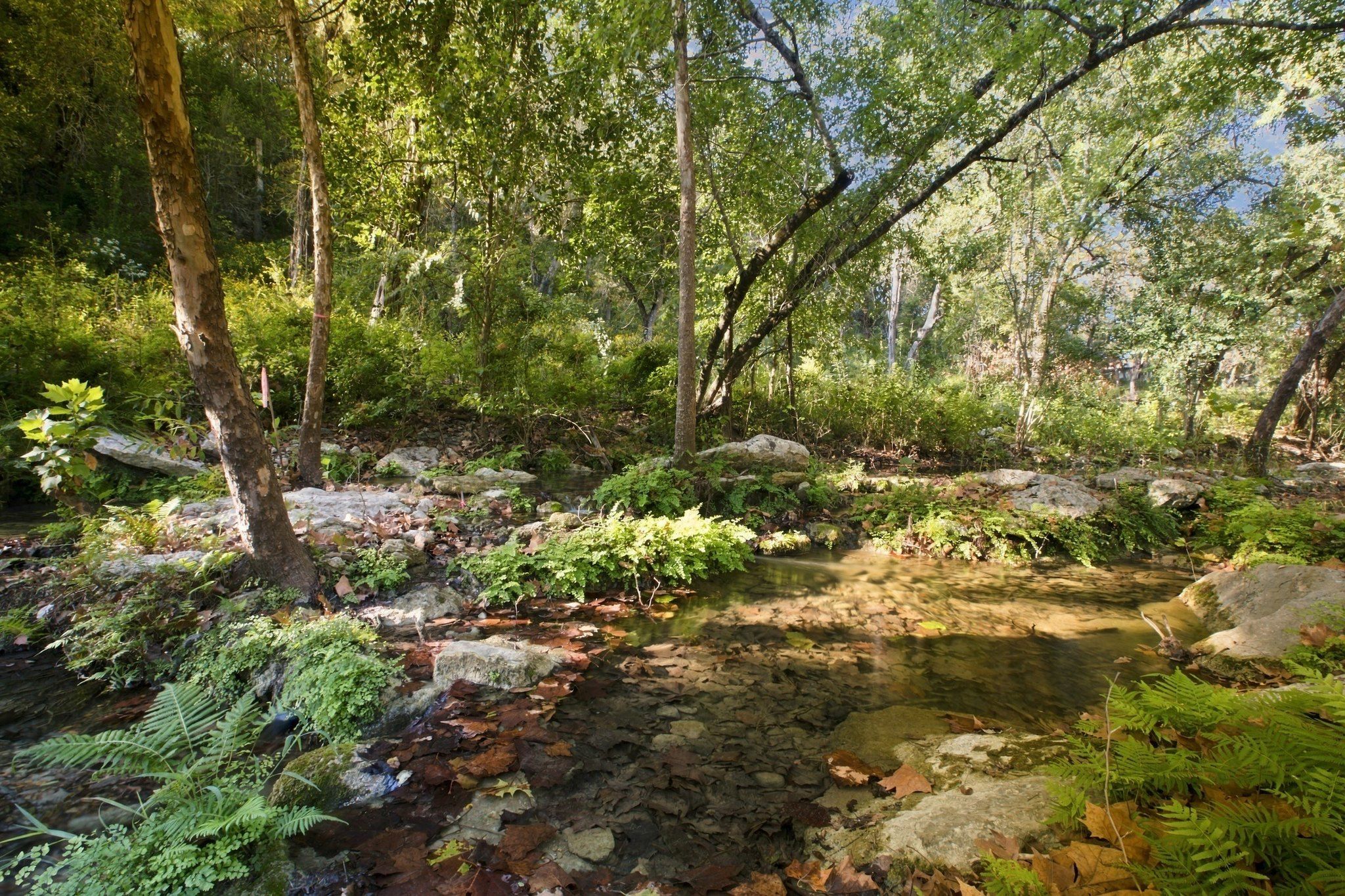  Private acreage in The Estates of Barton Creek - 物件實景