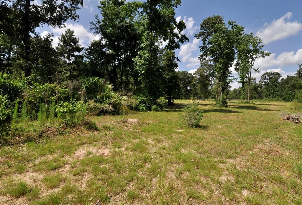 26150 Grand Pines Road, Magnolia, Texas, 77355, United States, ,Land,For Sale,26150 Grand Pines Road,1609479