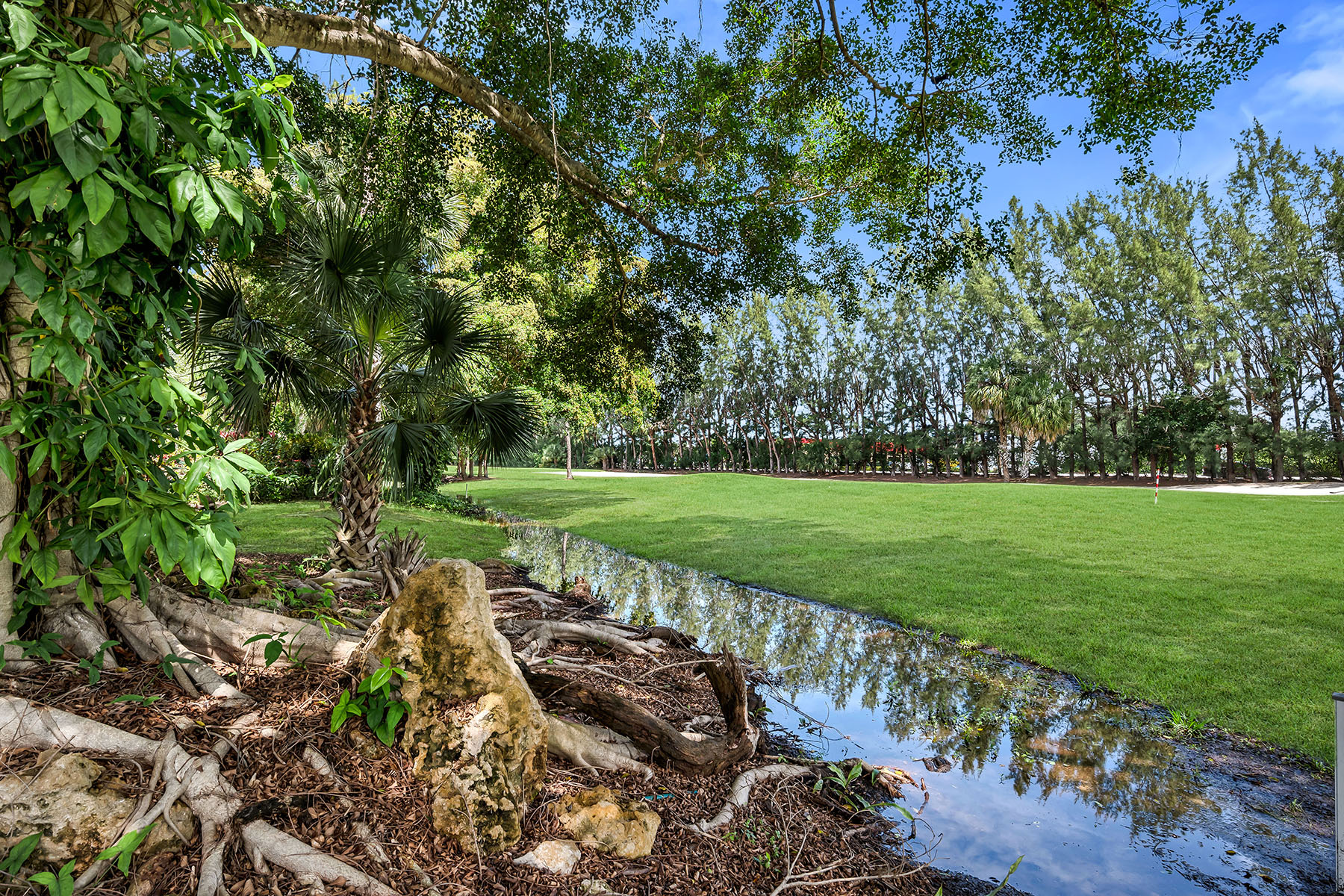  FOREST LAKES GOLF AND TENNIS CLUB - 物件實景