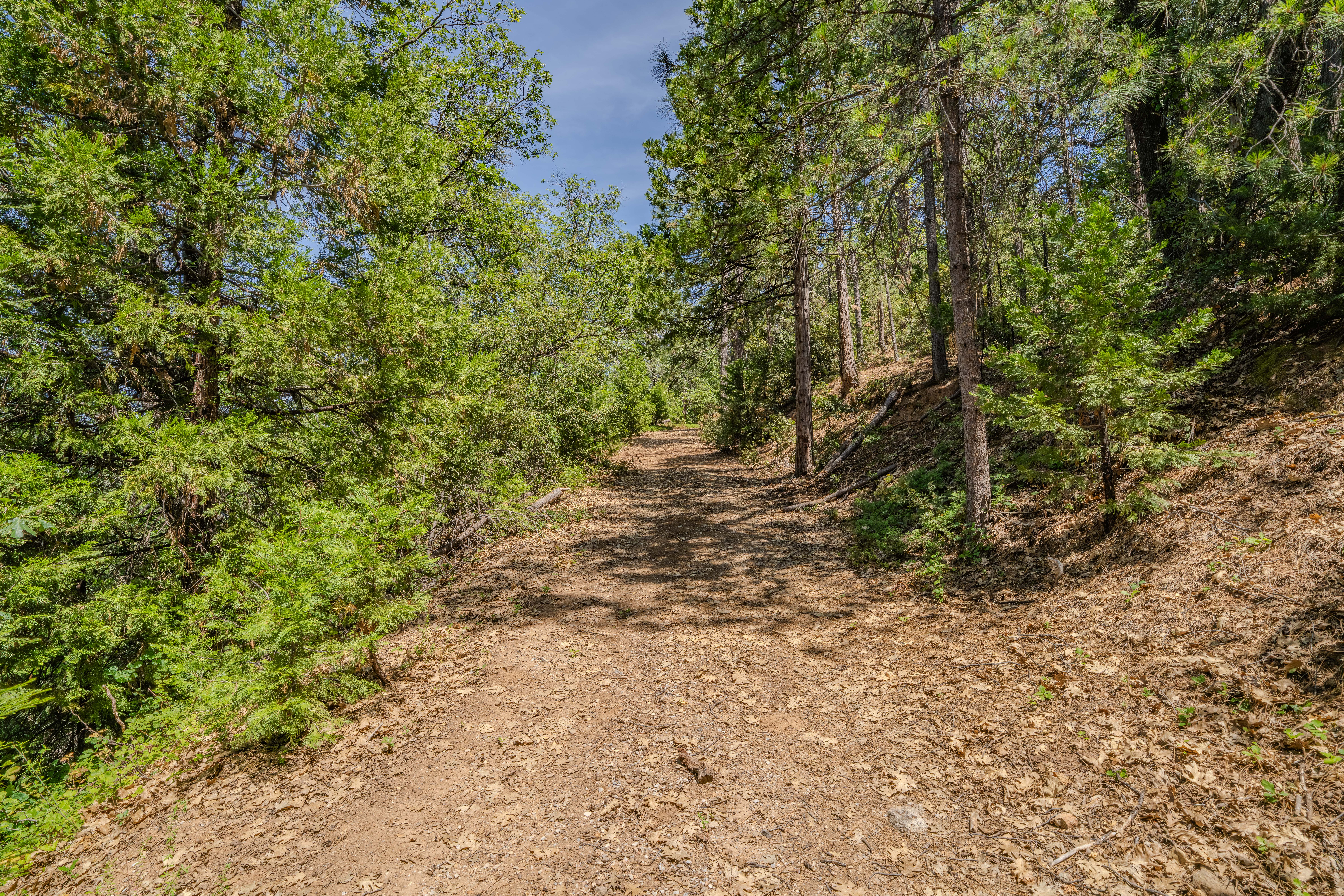  24100 Canterbury Road, Pioneer, CA 95666 - 物件實景