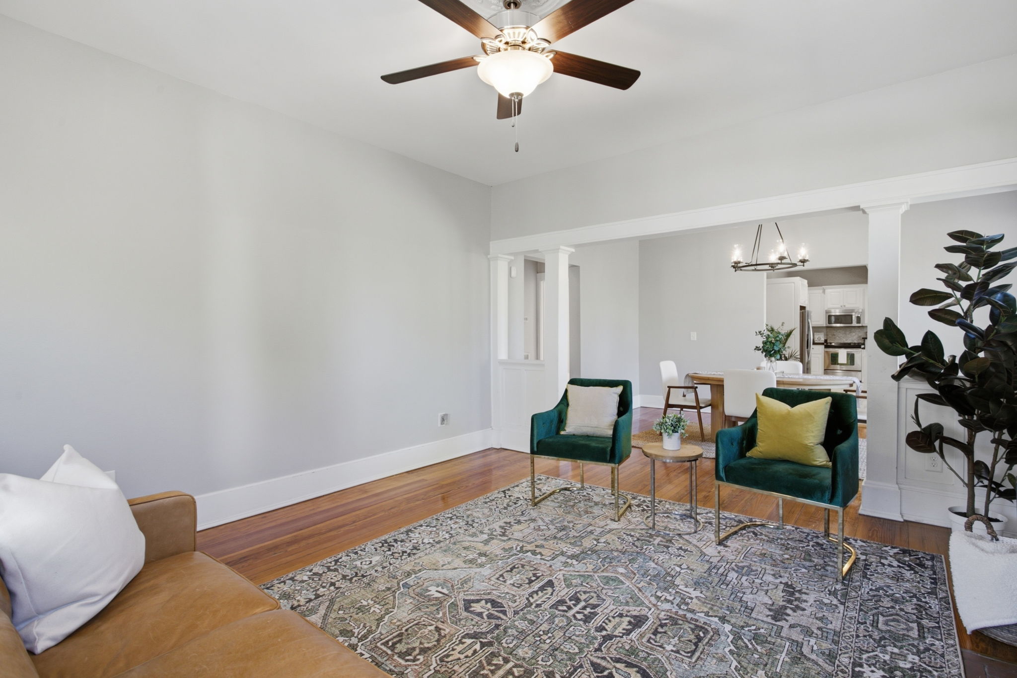  19 David Street, Greenville, SC 29609 - 物件實景