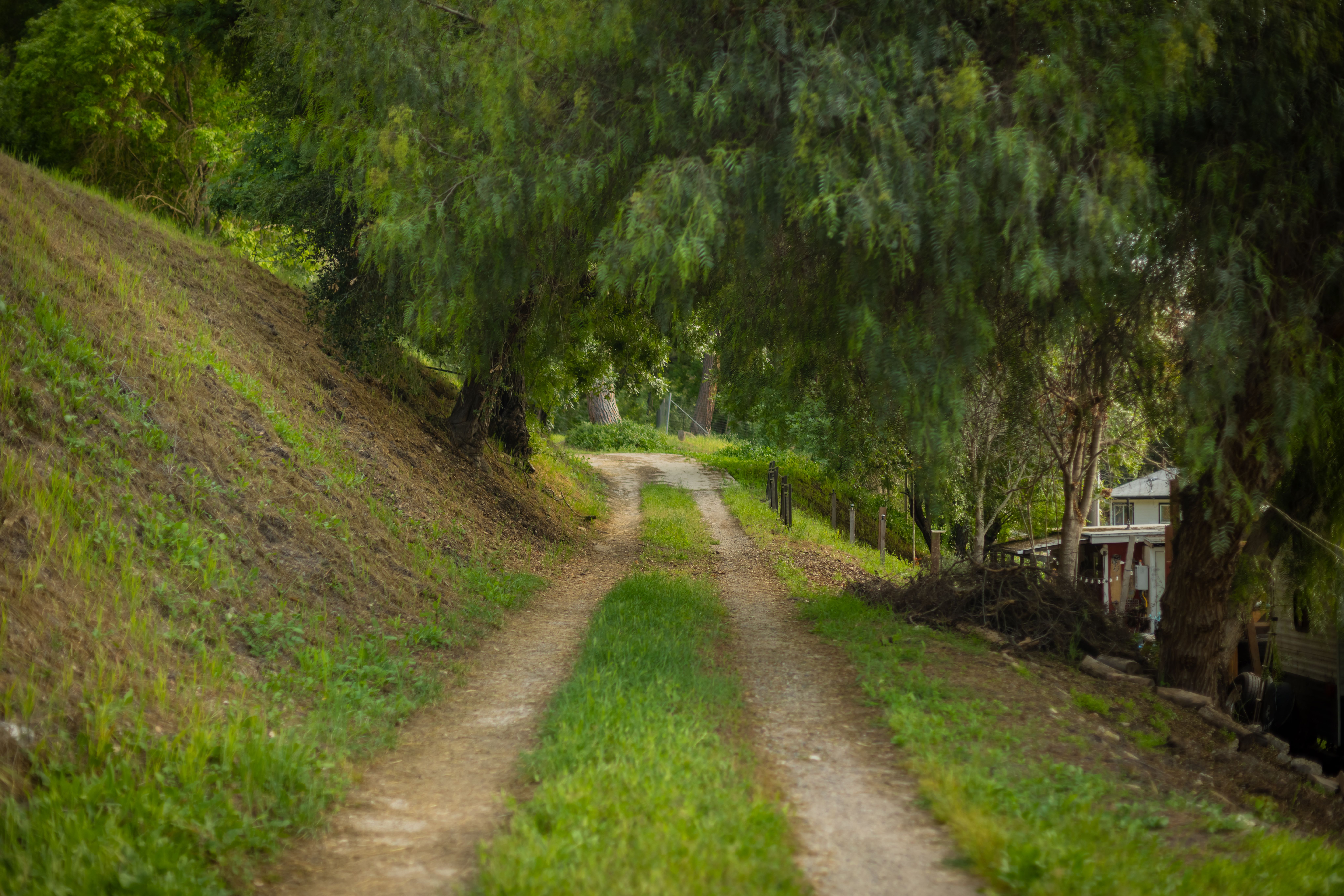  1345 Fraser Lane, Ojai, CA 93023 - 物件實景