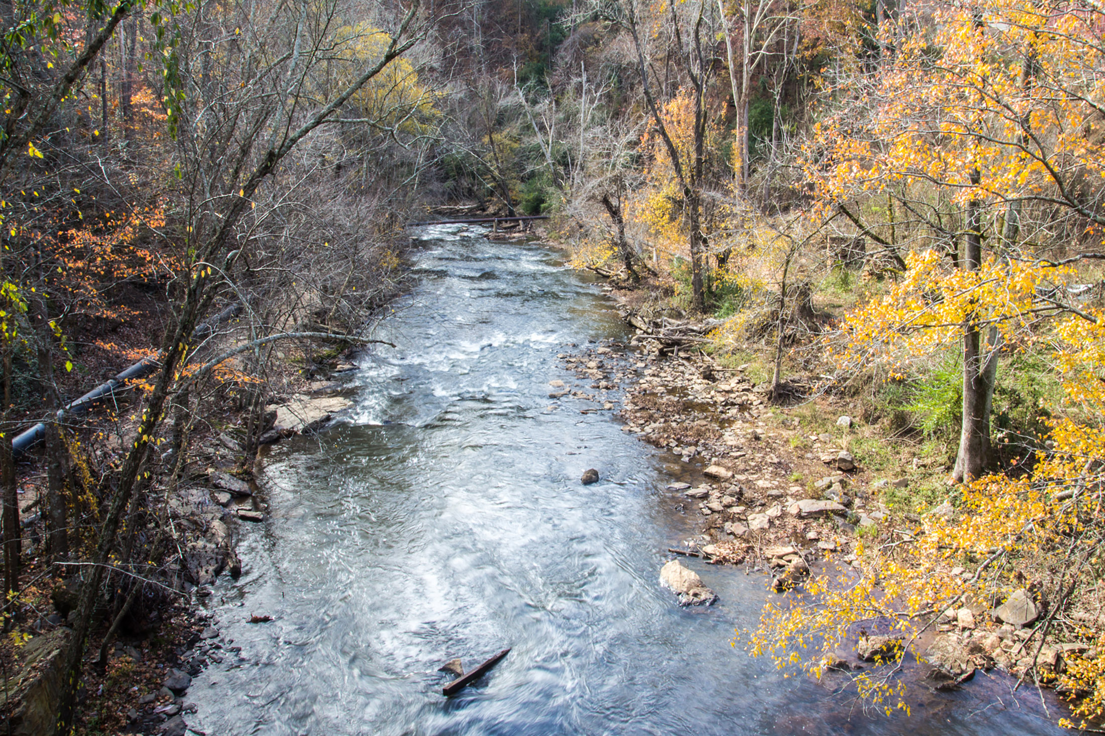  Timeless Colonial-Style Estate Near Historic Roswell - 物件實景
