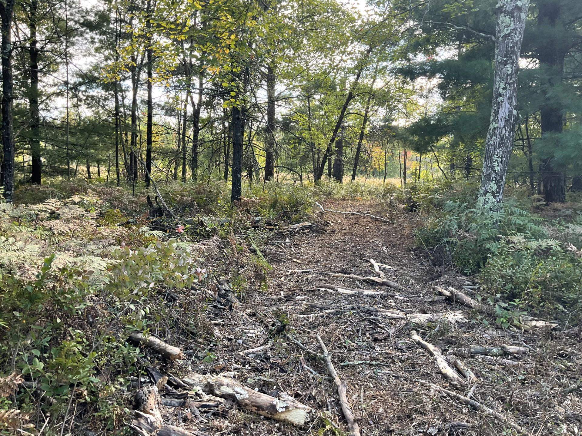 Warrens, Wisconsin, 54666, United States, 4 Bedrooms Bedrooms, ,3 BathroomsBathrooms,Residential,For Sale,1975252