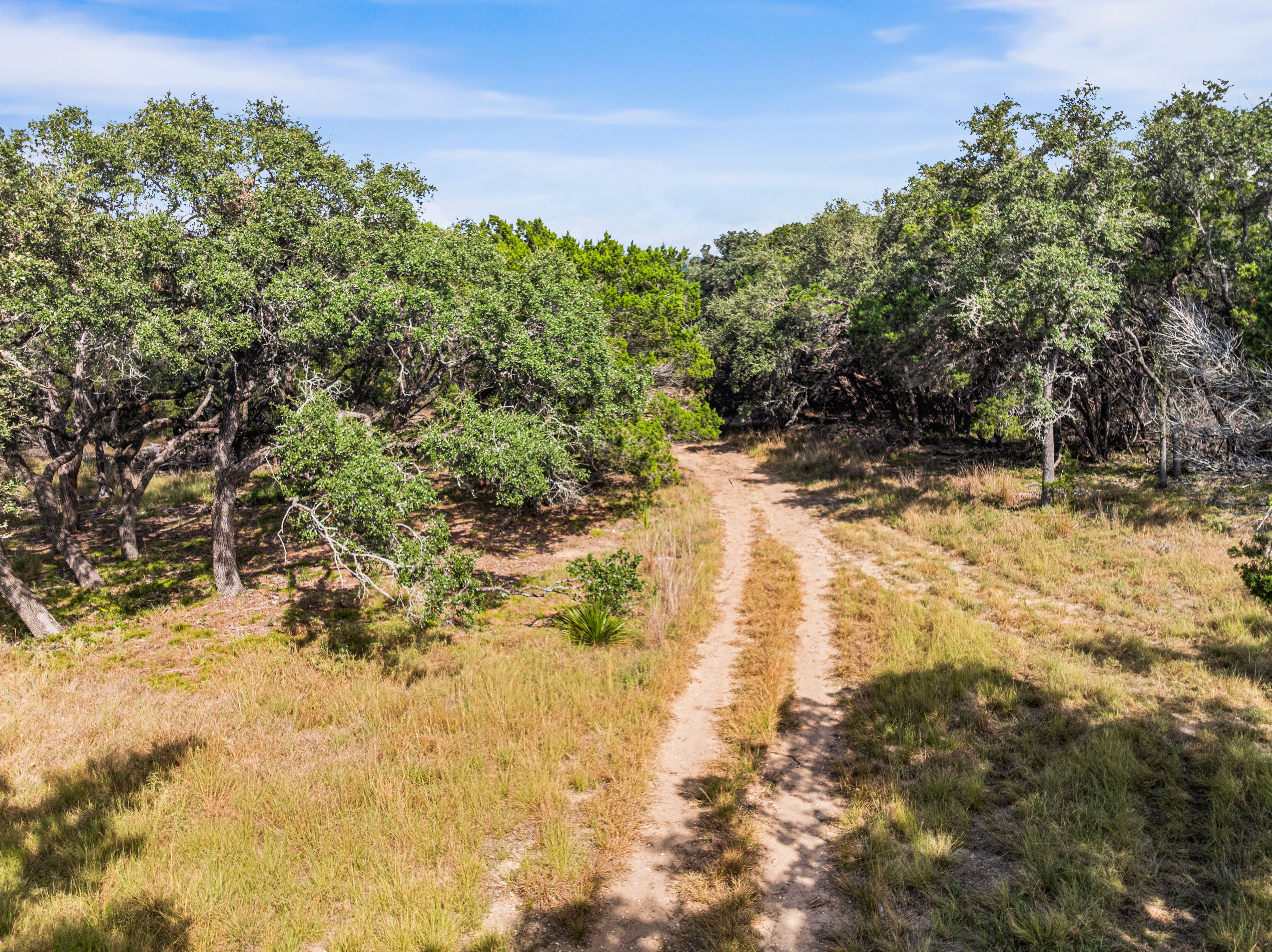  TBD Hwy 46 / Madrona Ranch Road, Pipe Creek, TX 78063 - 物件實景