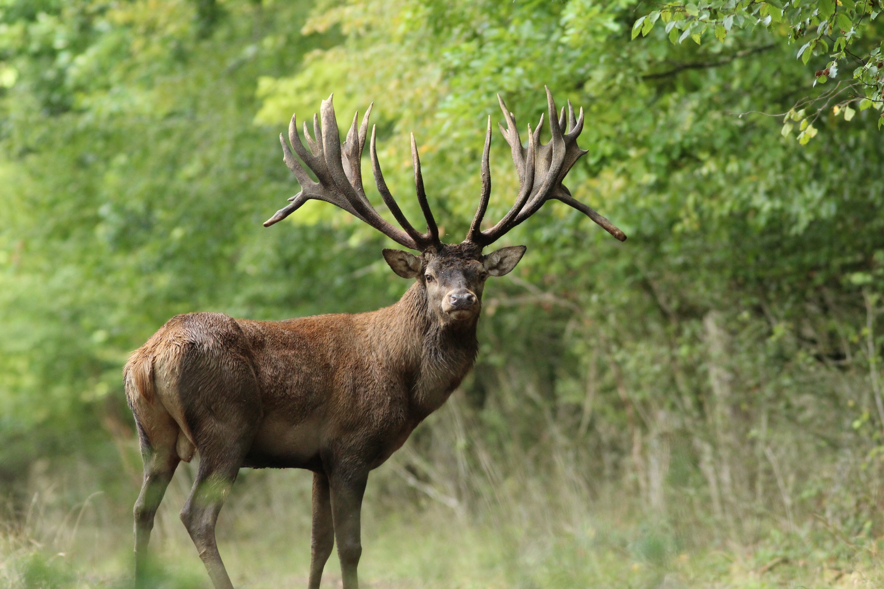  An Exceptional Estate Just 50 Minutes from Paris - 物件實景