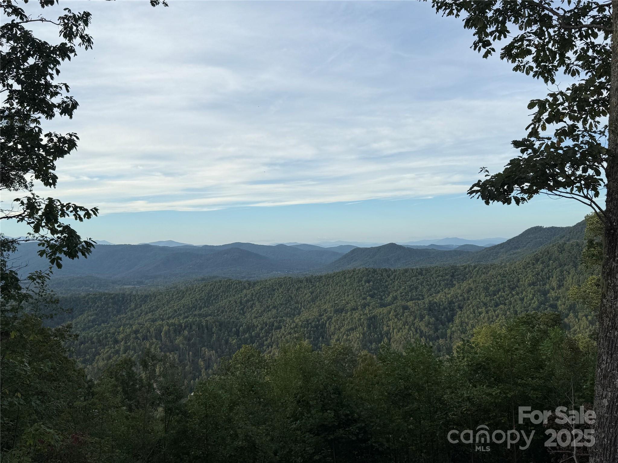 Union Mills, North Carolina, 28167, United States, ,Land,For Sale,1976406