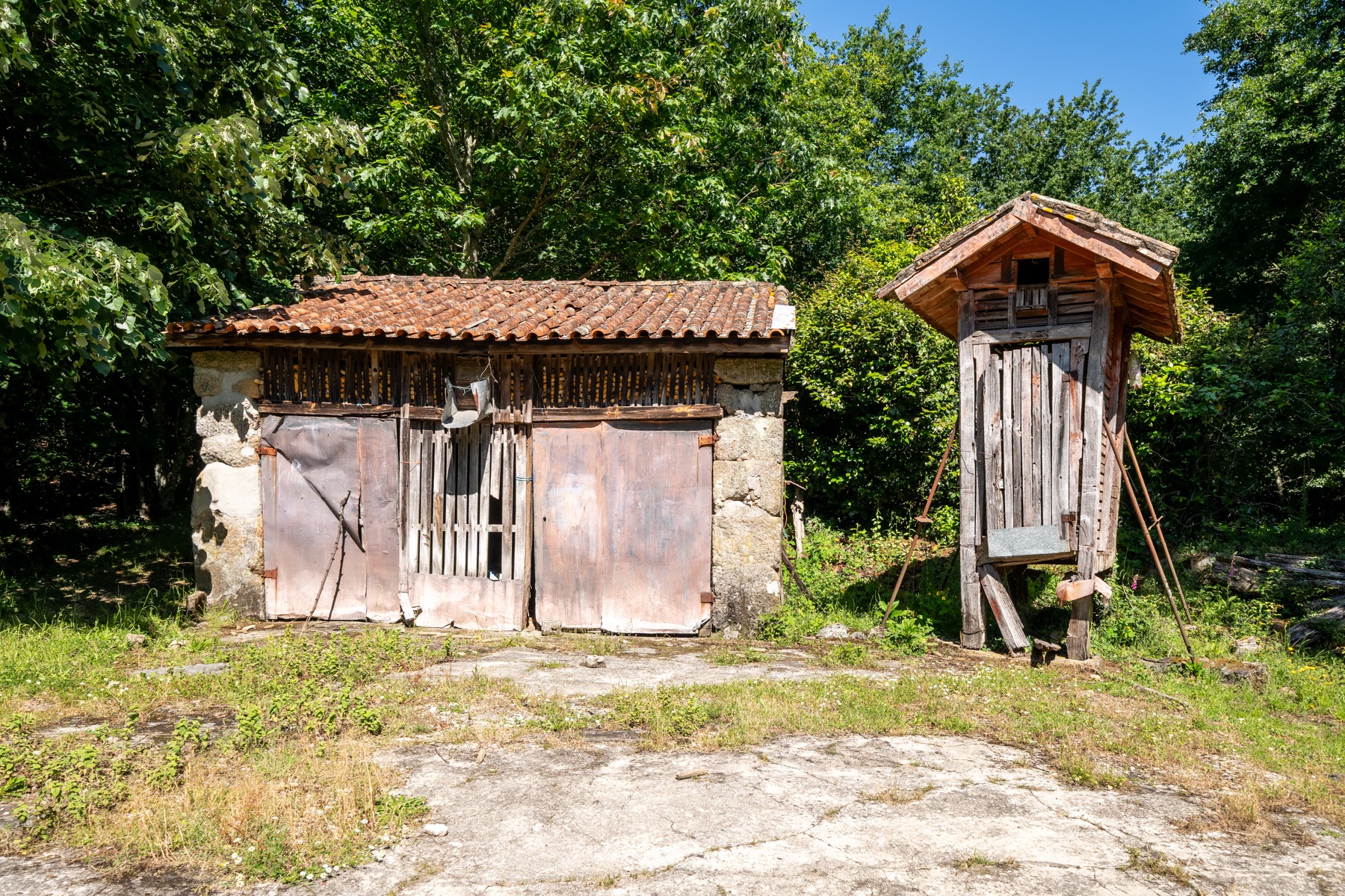  Farm for Sale - 物件實景