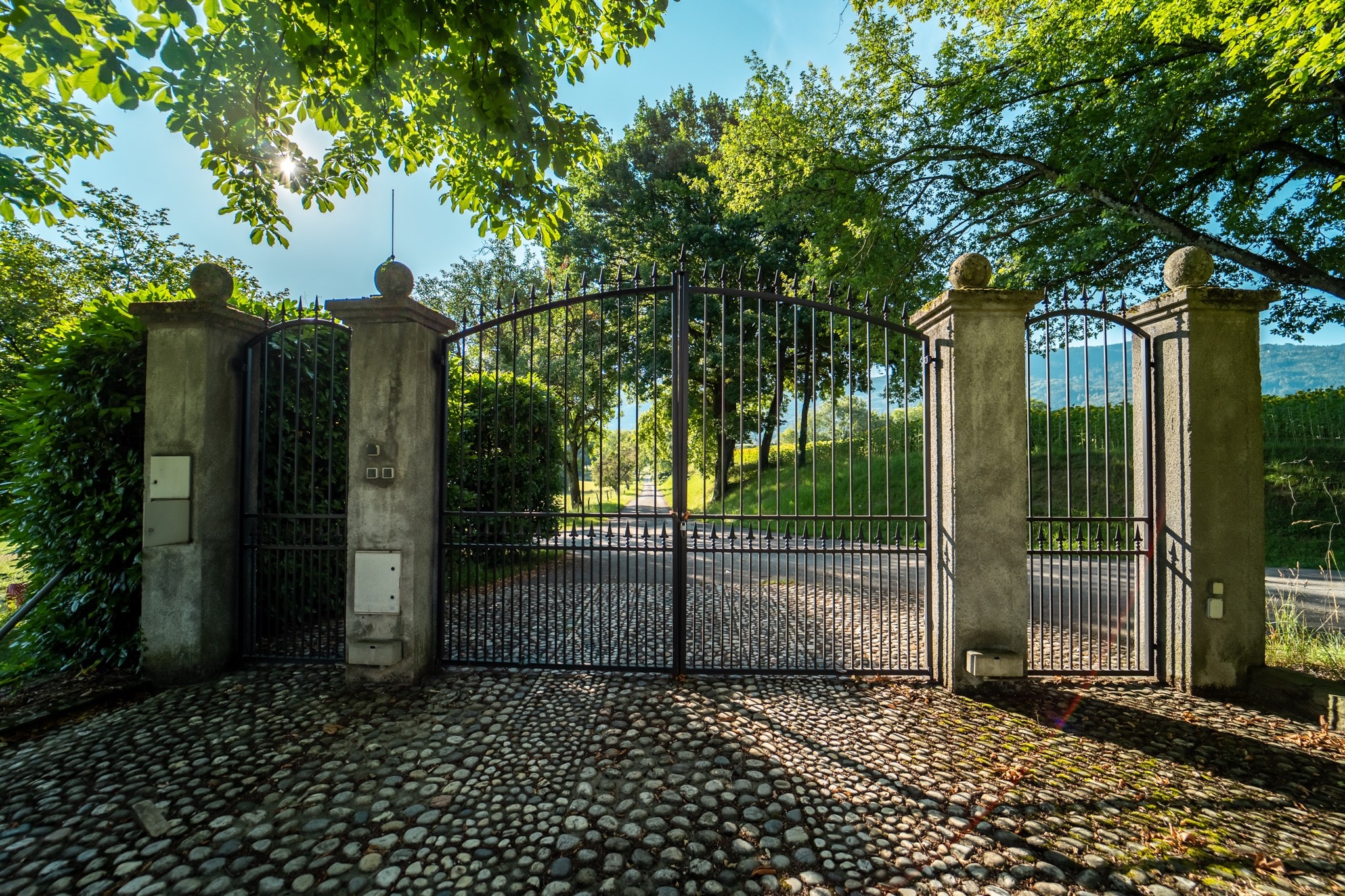  Castle at the Gates of Geneva - 物件實景