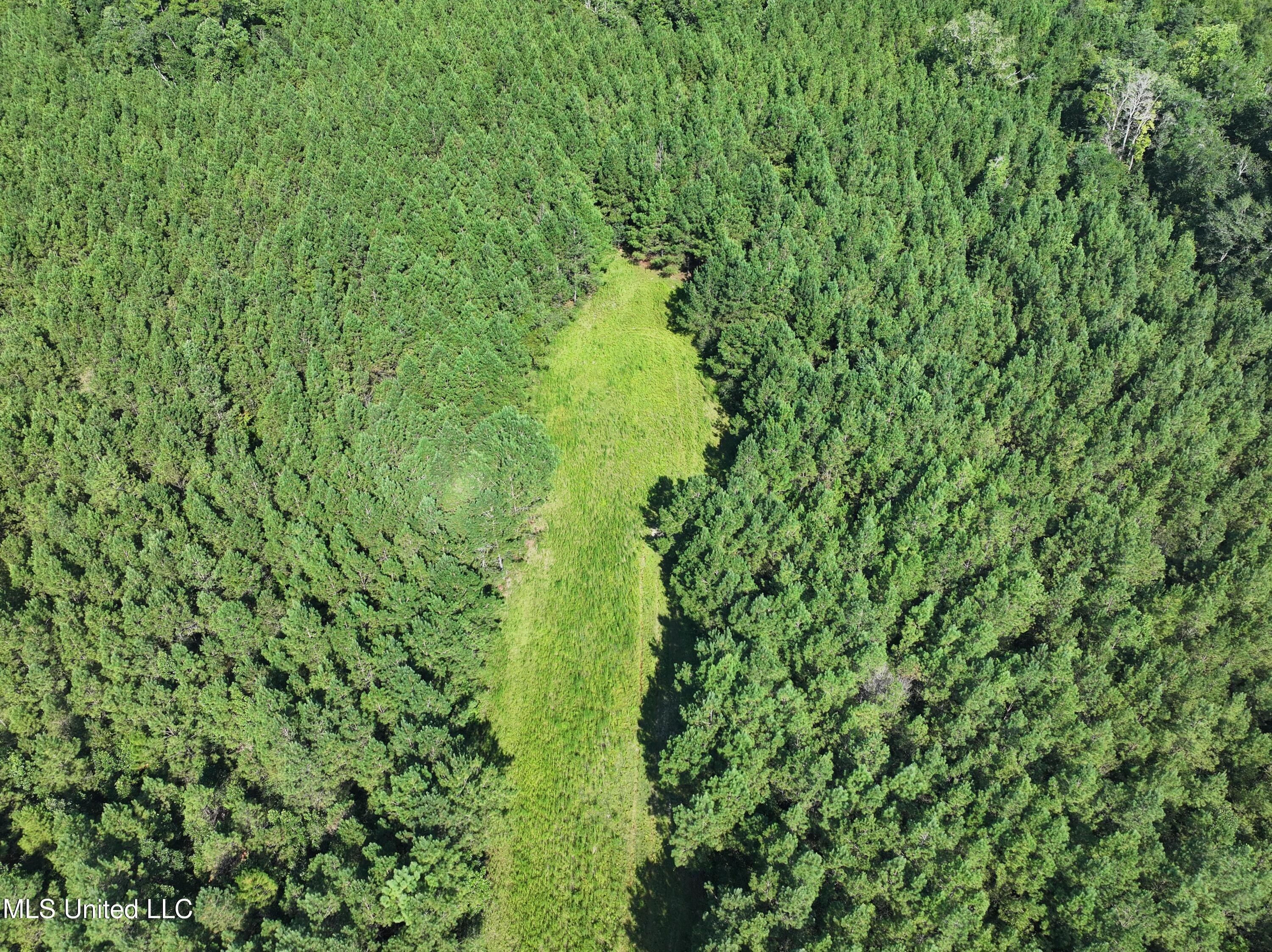 Lucedale, Mississippi, 39452, United States, ,Land,For Sale,1974704