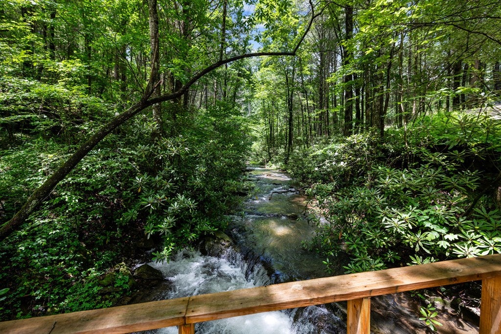 Ellijay, Georgia, 30540, United States, 5 Bedrooms Bedrooms, ,5 BathroomsBathrooms,Residential,For Sale,1868155