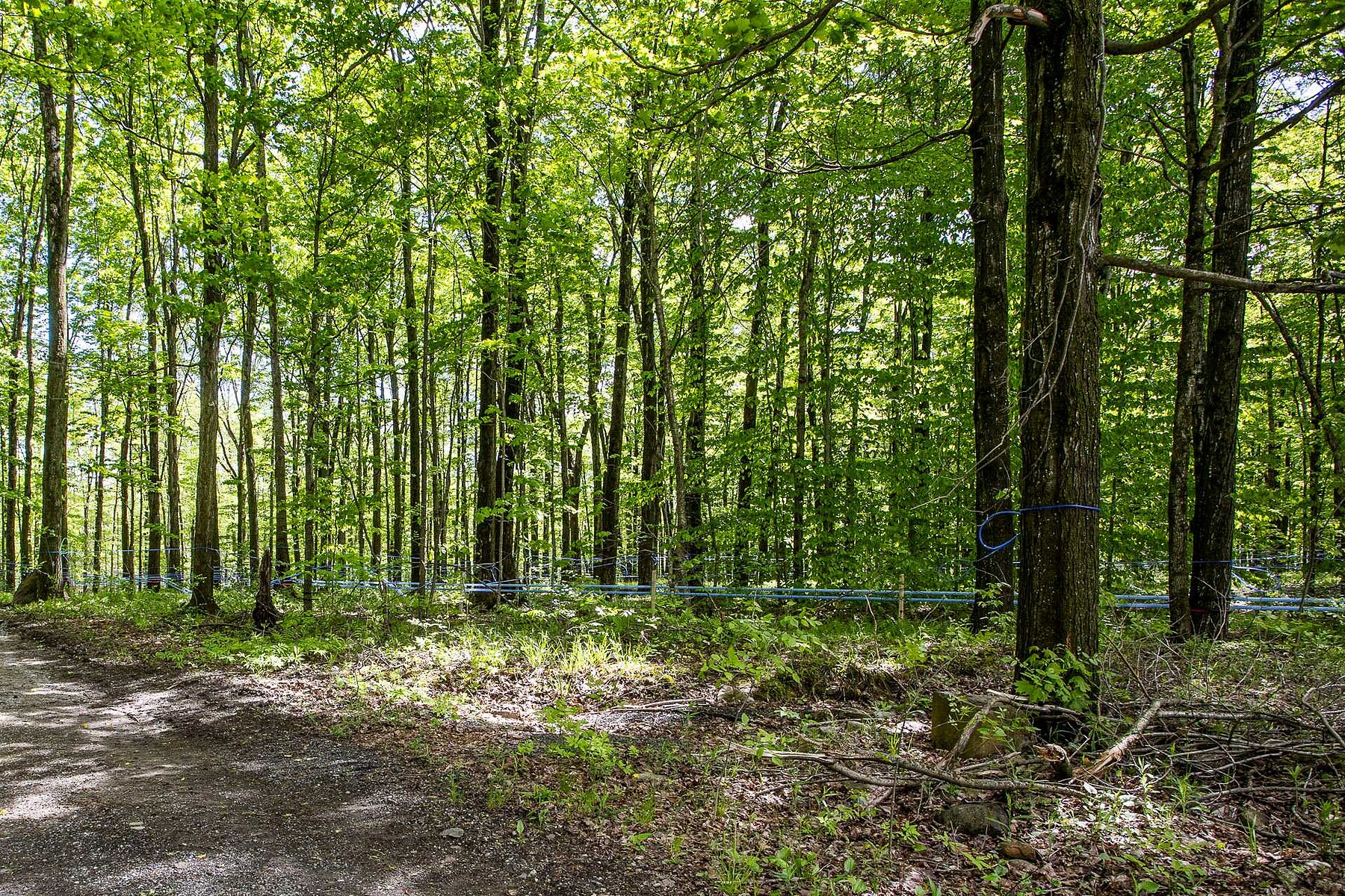  Dunham, Eastern Townships - 物件實景