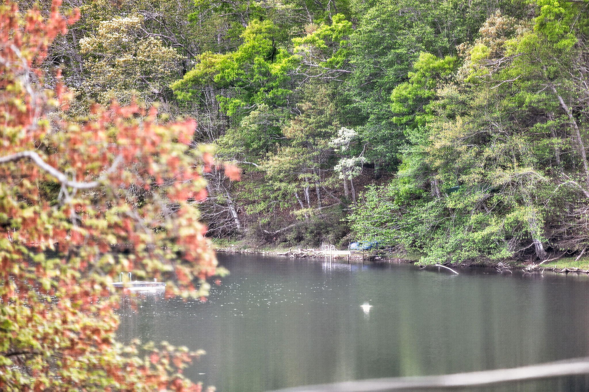  73 Pimlico Pond Road - 物件實景