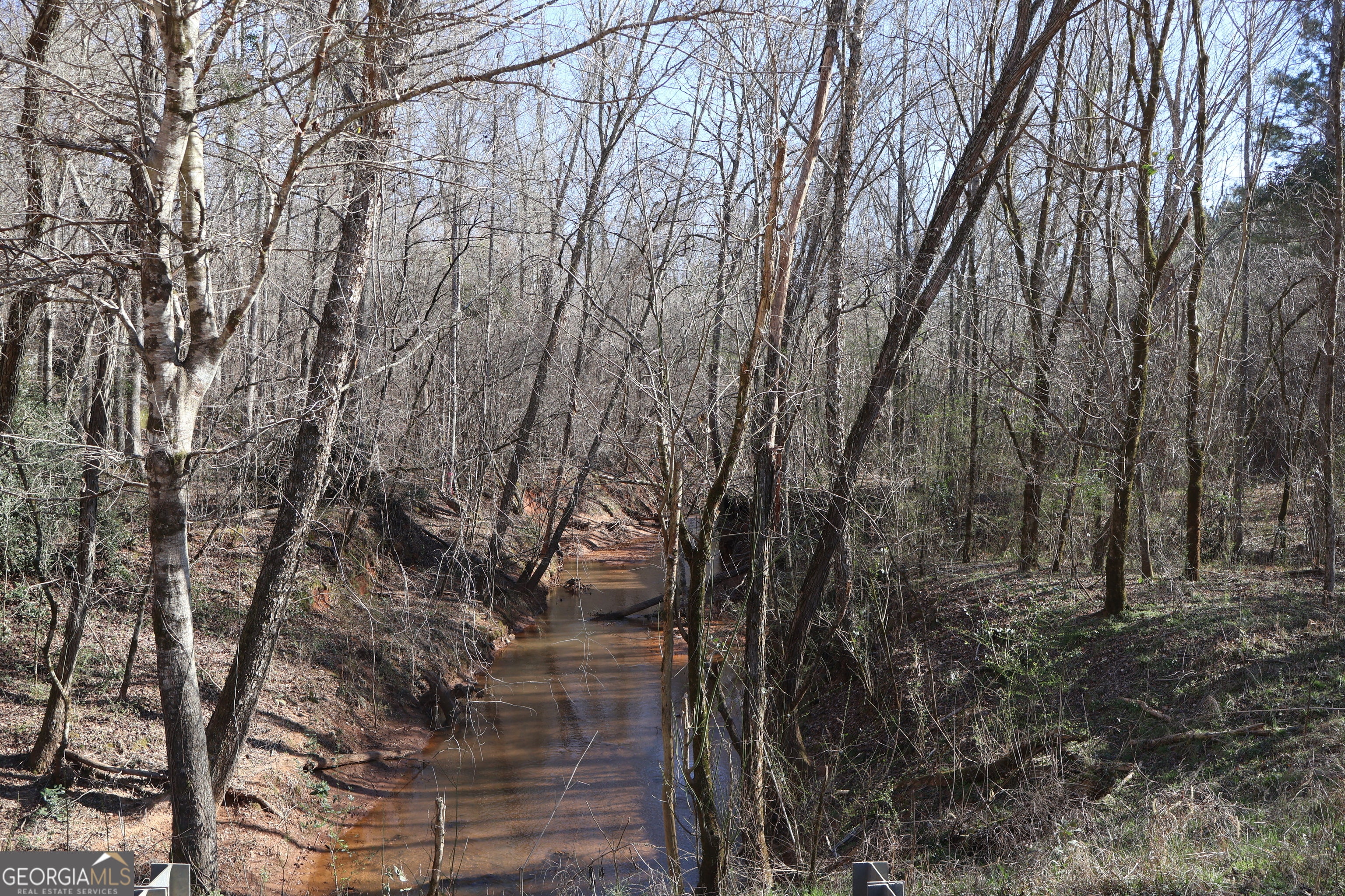 Forsyth, Georgia, 31029, United States, ,Land,For Sale,1858913