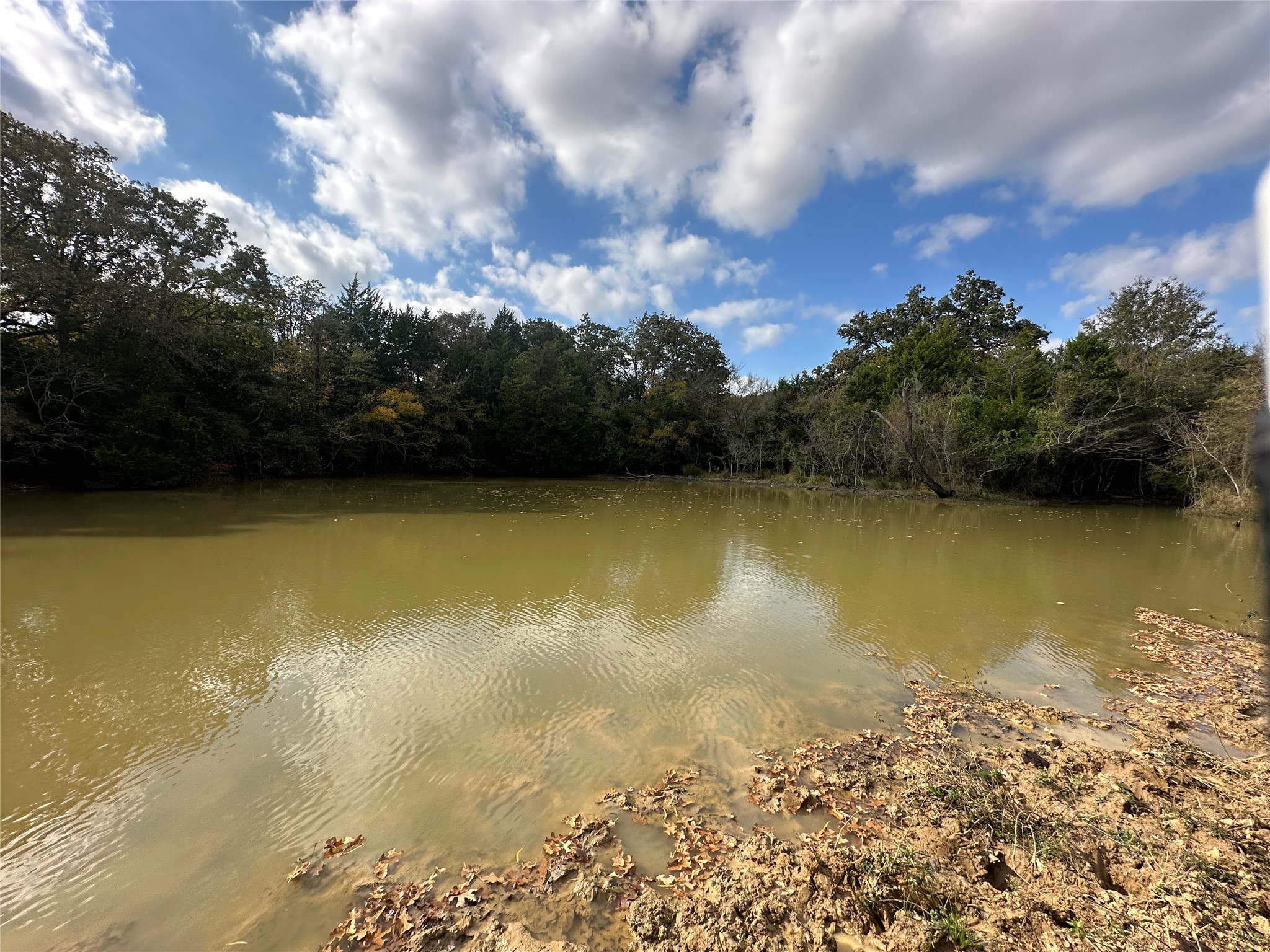 Thornton, Texas, 76687, United States, ,Land,For Sale,1995546