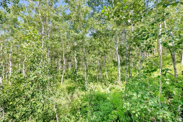 Heber City, Utah, 84032, United States, 4 Bedrooms Bedrooms, ,2 BathroomsBathrooms,Residential,For Sale,2005554