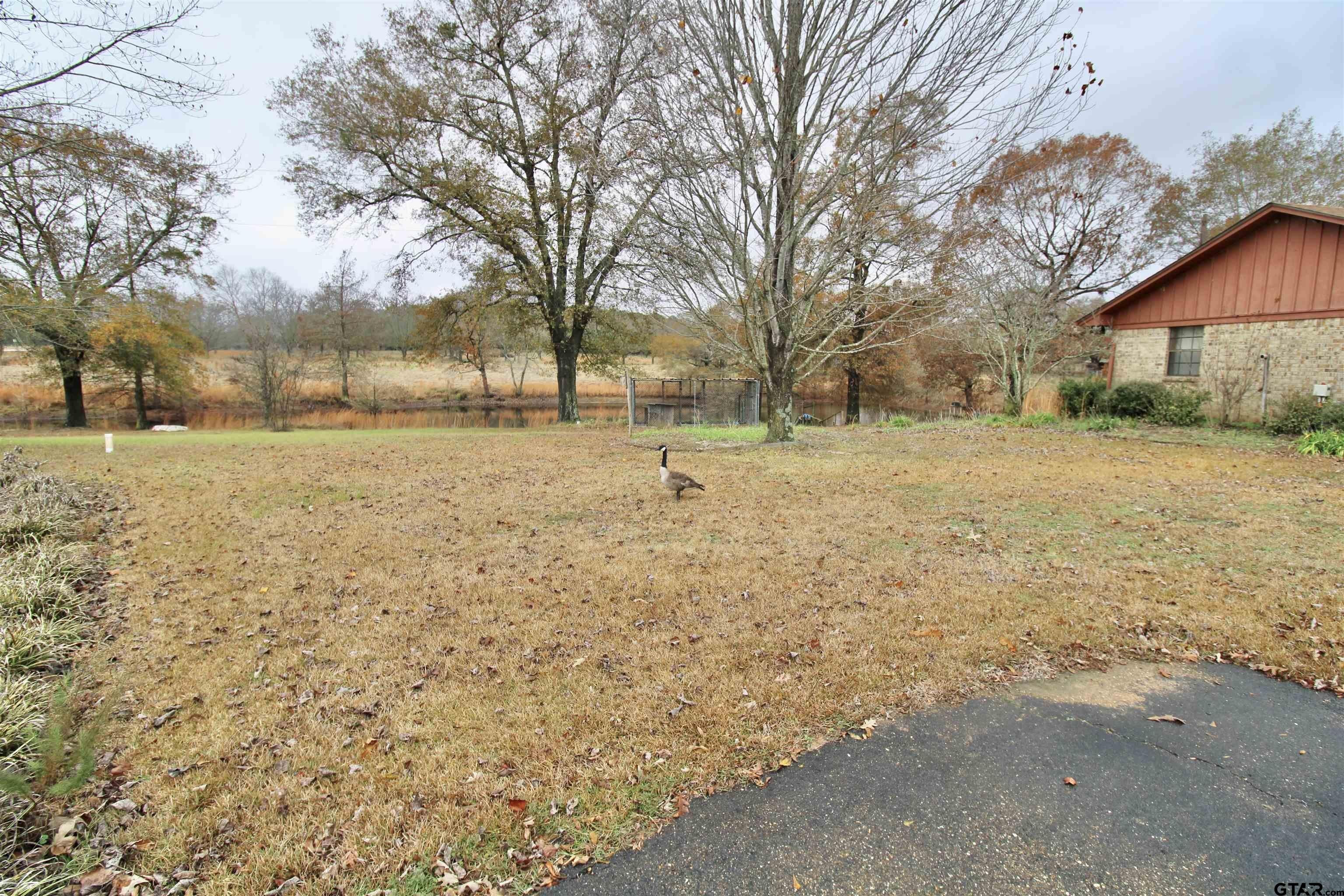 Leesburg, Texas, 75451, United States, 3 Bedrooms Bedrooms, ,2 BathroomsBathrooms,Residential,For Sale,1977954