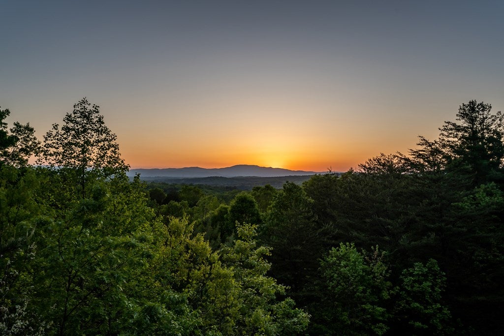 Mineral Bluff, Georgia, 30559, United States, 3 Bedrooms Bedrooms, ,3 BathroomsBathrooms,Residential,For Sale,1986292
