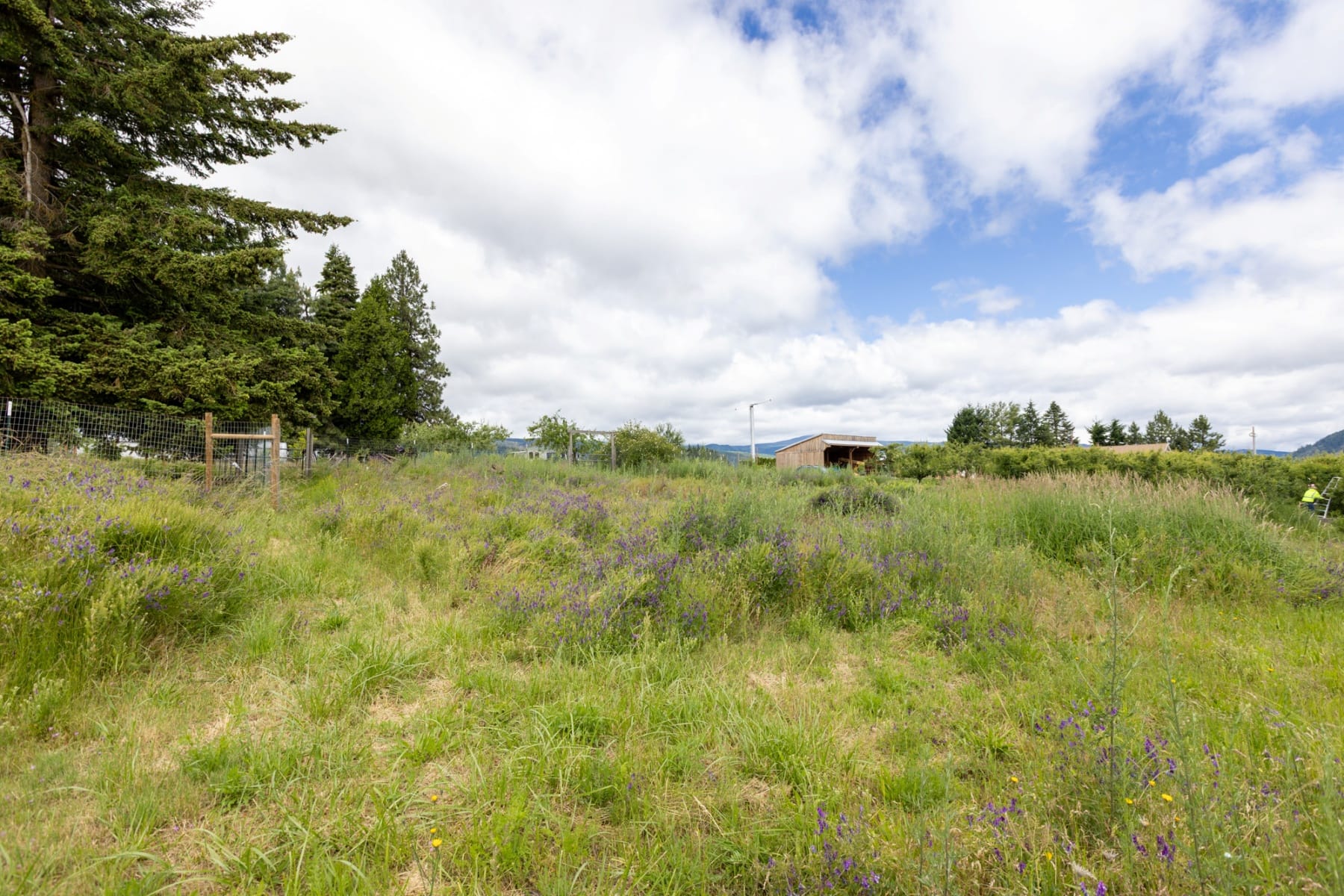 6455 TROUT CREEK RIDGE RD Mt Hood Prkdl, OR 97041 - 物件實景