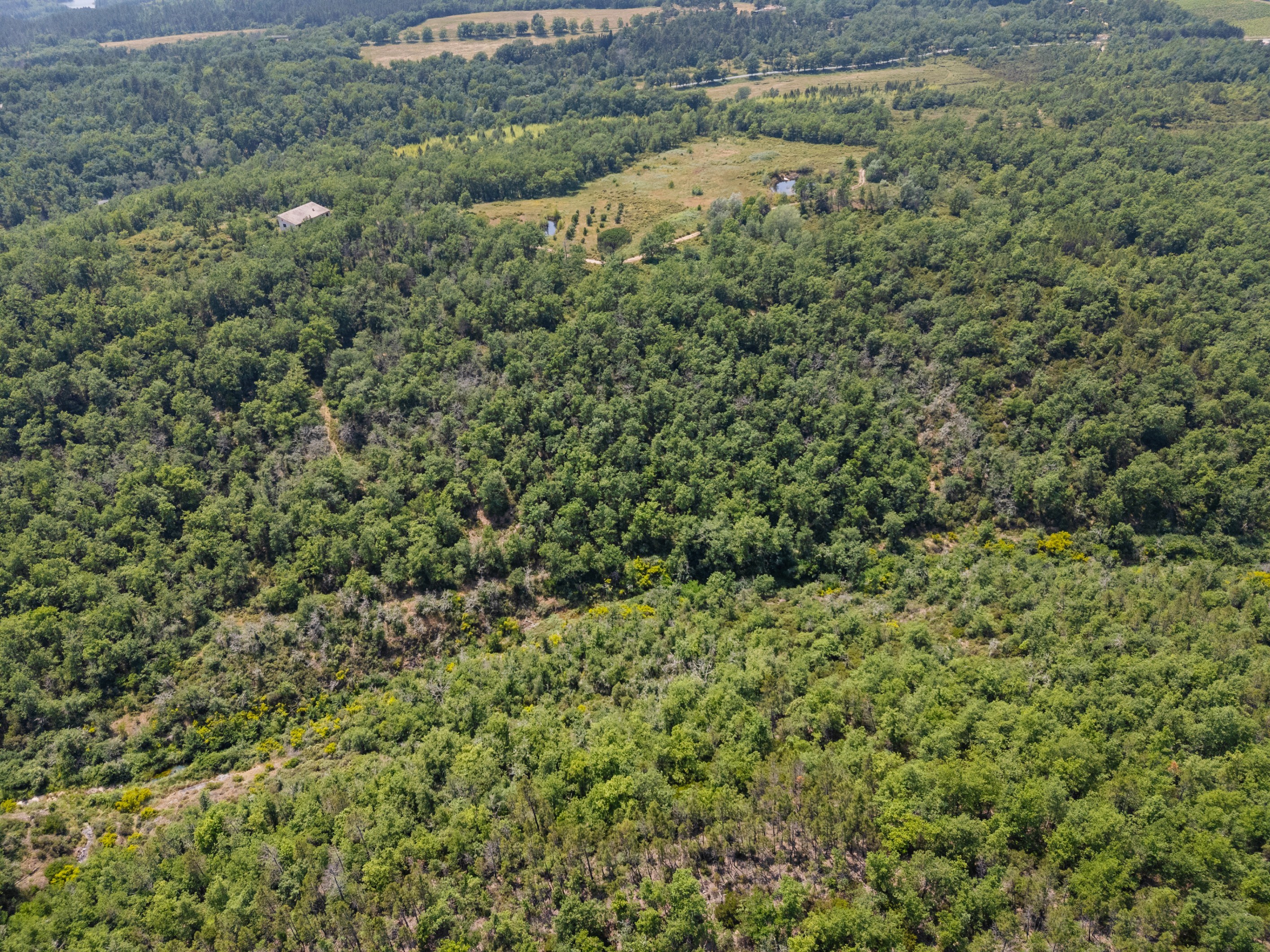  Organic estate with vineyard potential and panoramic views, over 44 Hectares in… - 物件實景