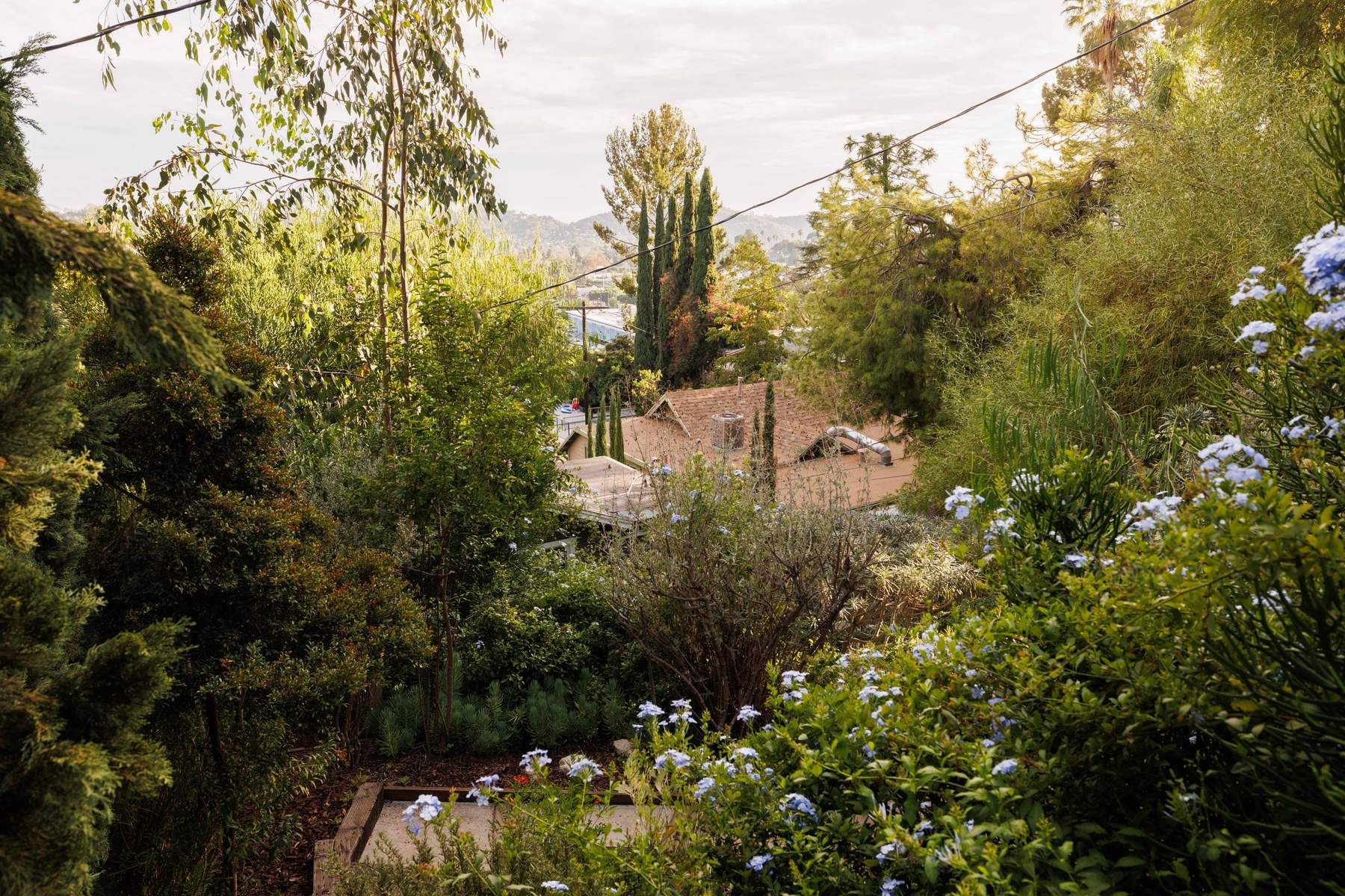  6205 Vidette Street - 物件實景