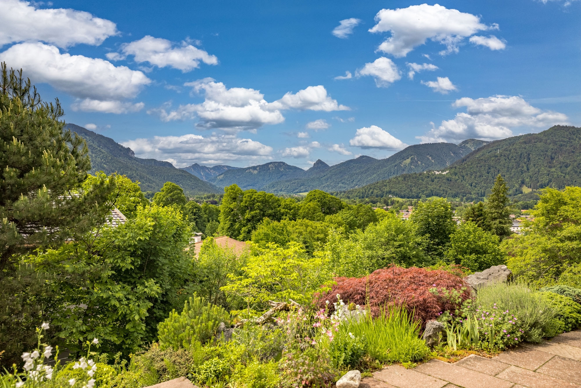  Alpine Living - Front Row to the Mountains - 物件實景