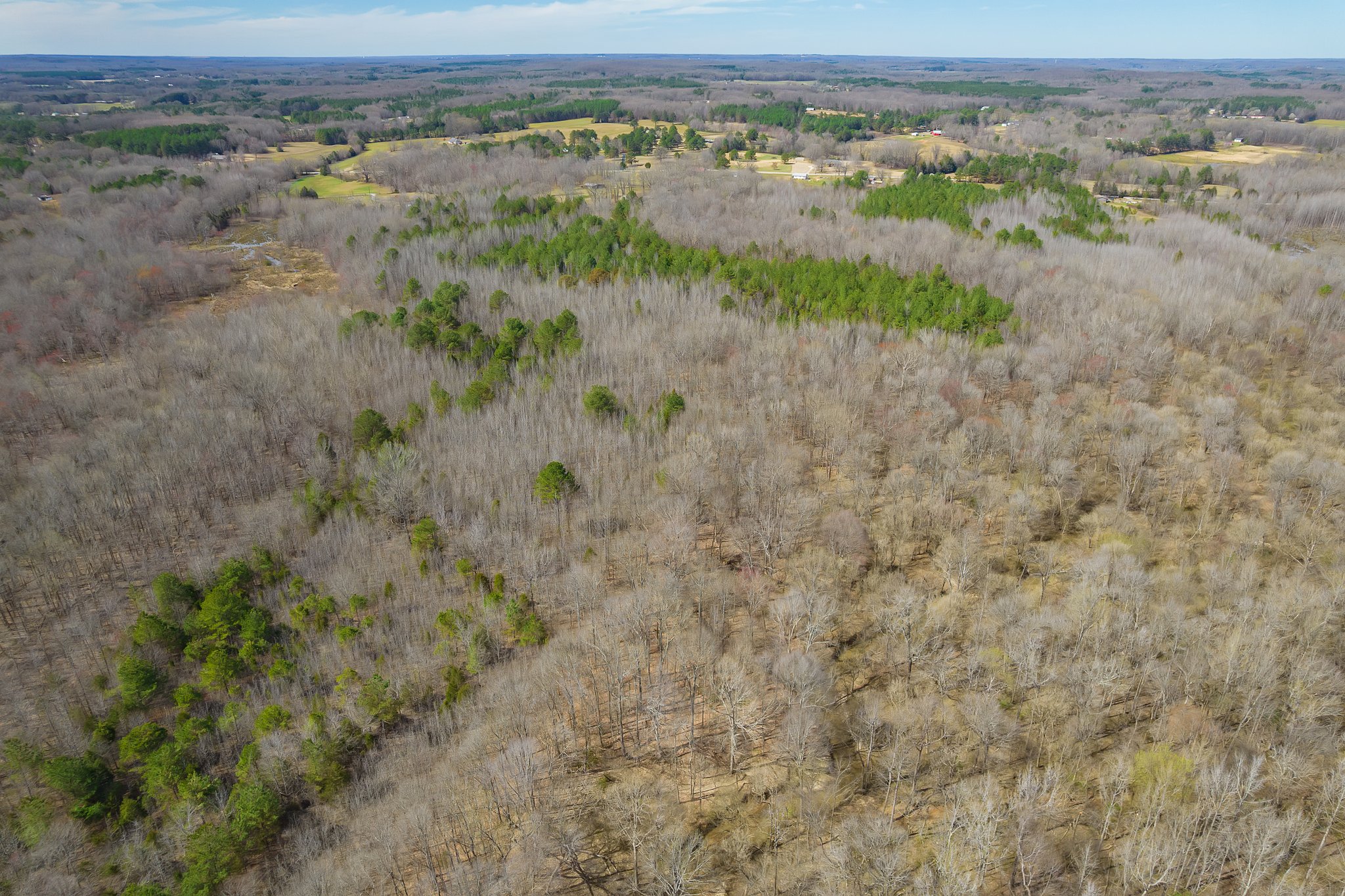 Beech Bluff, Tennessee, 38313, United States, 5 Bedrooms Bedrooms, ,3 BathroomsBathrooms,Residential,For Sale,1743753