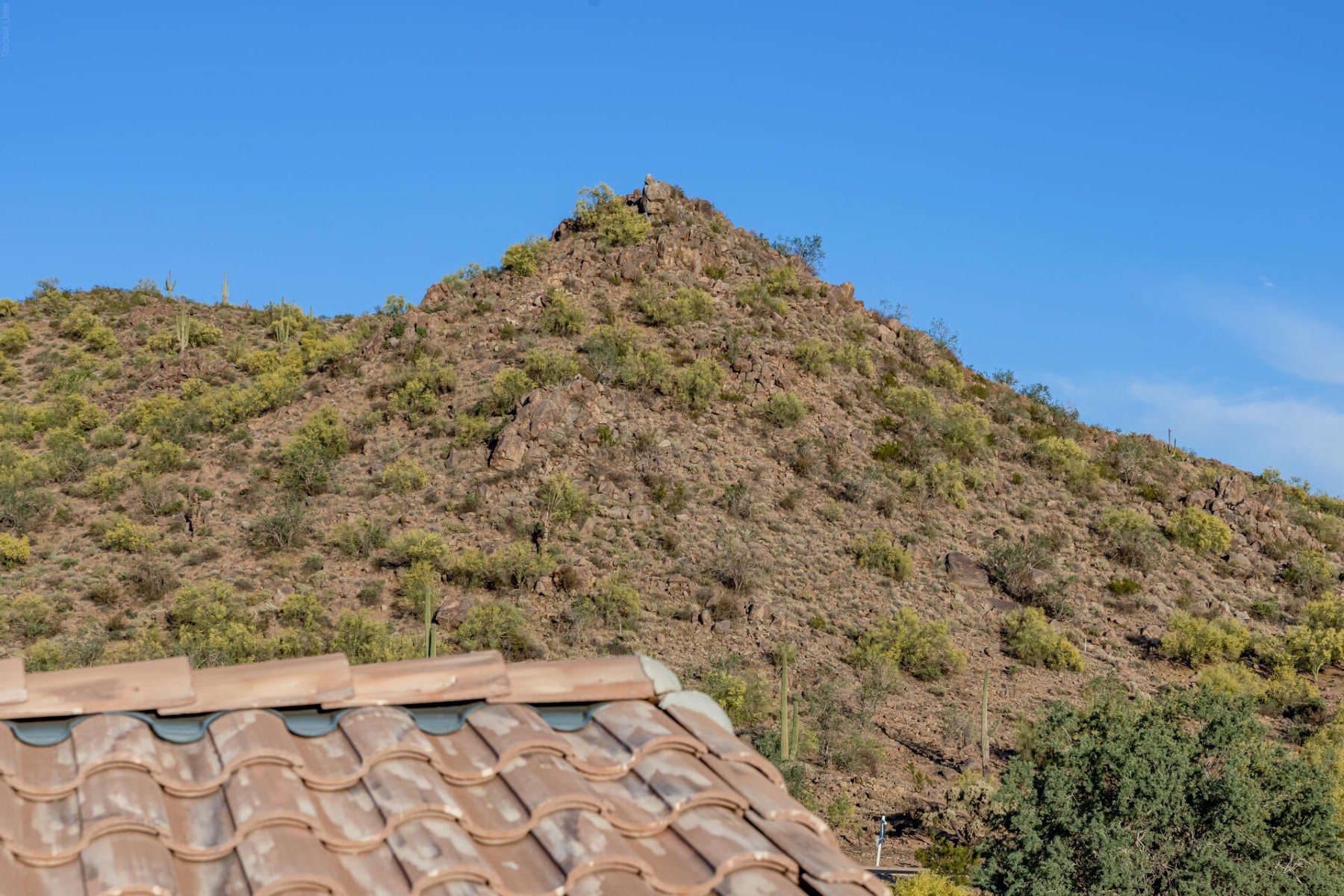  10761 E Calle Del Cascabel  Gold Canyon, AZ - 物件實景