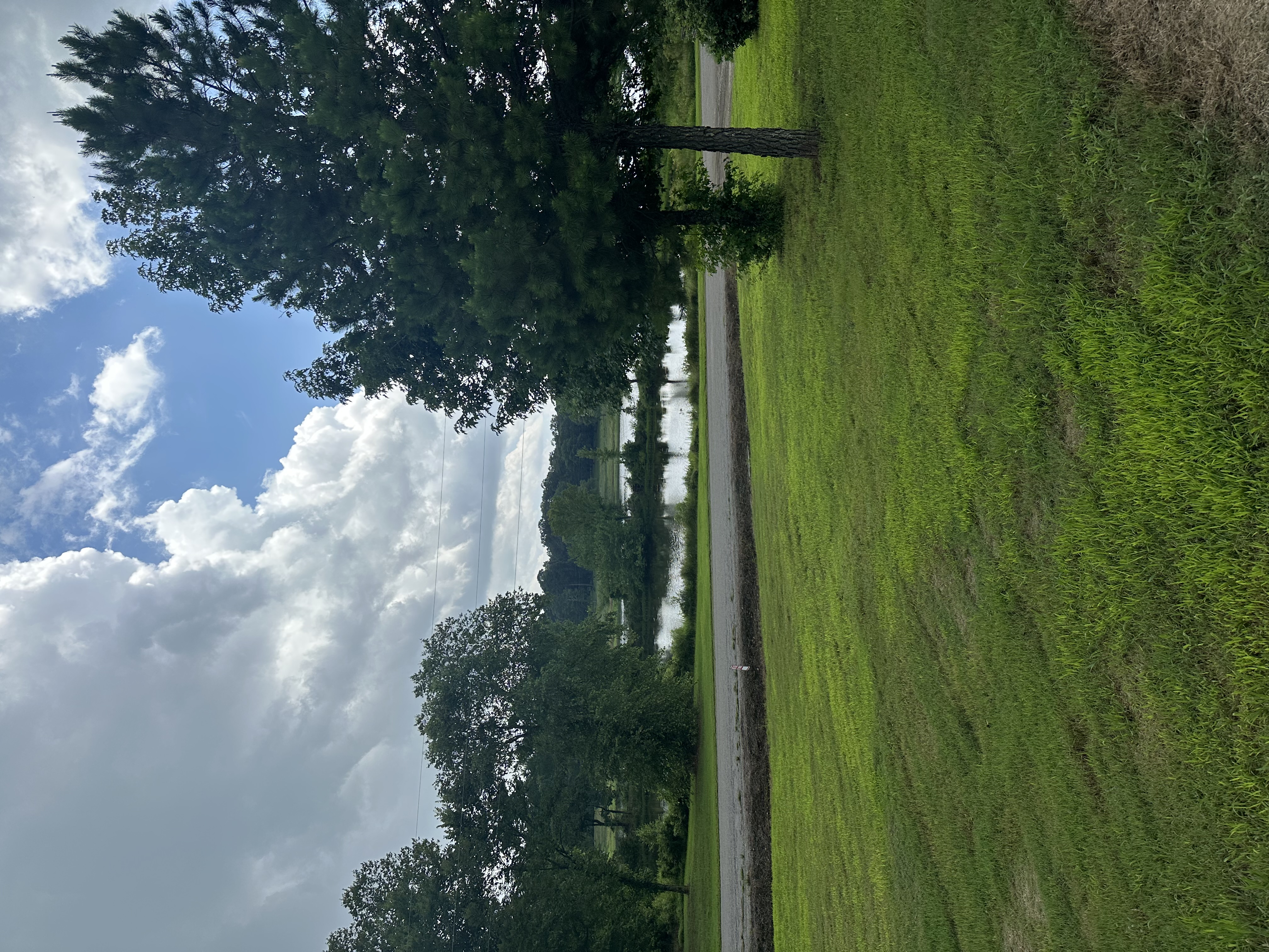Clarksville, Arkansas, 72830, United States, ,Land,For Sale,1896569