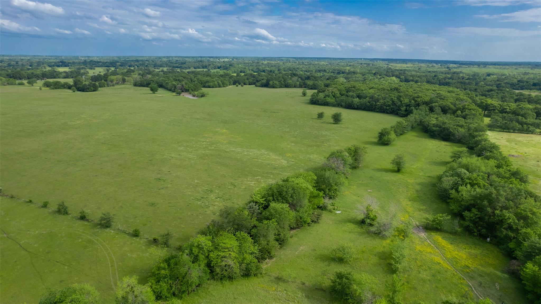 Commerce, Texas, 75428, United States, ,Residential,For Sale,1810631