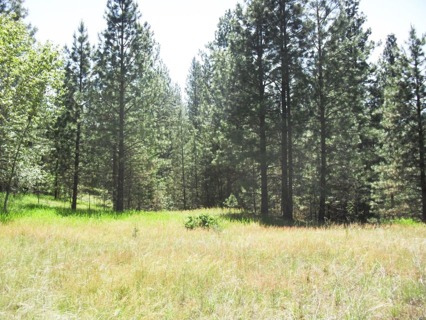 Northport, Washington, 99157, United States, ,Land,For Sale,1982244