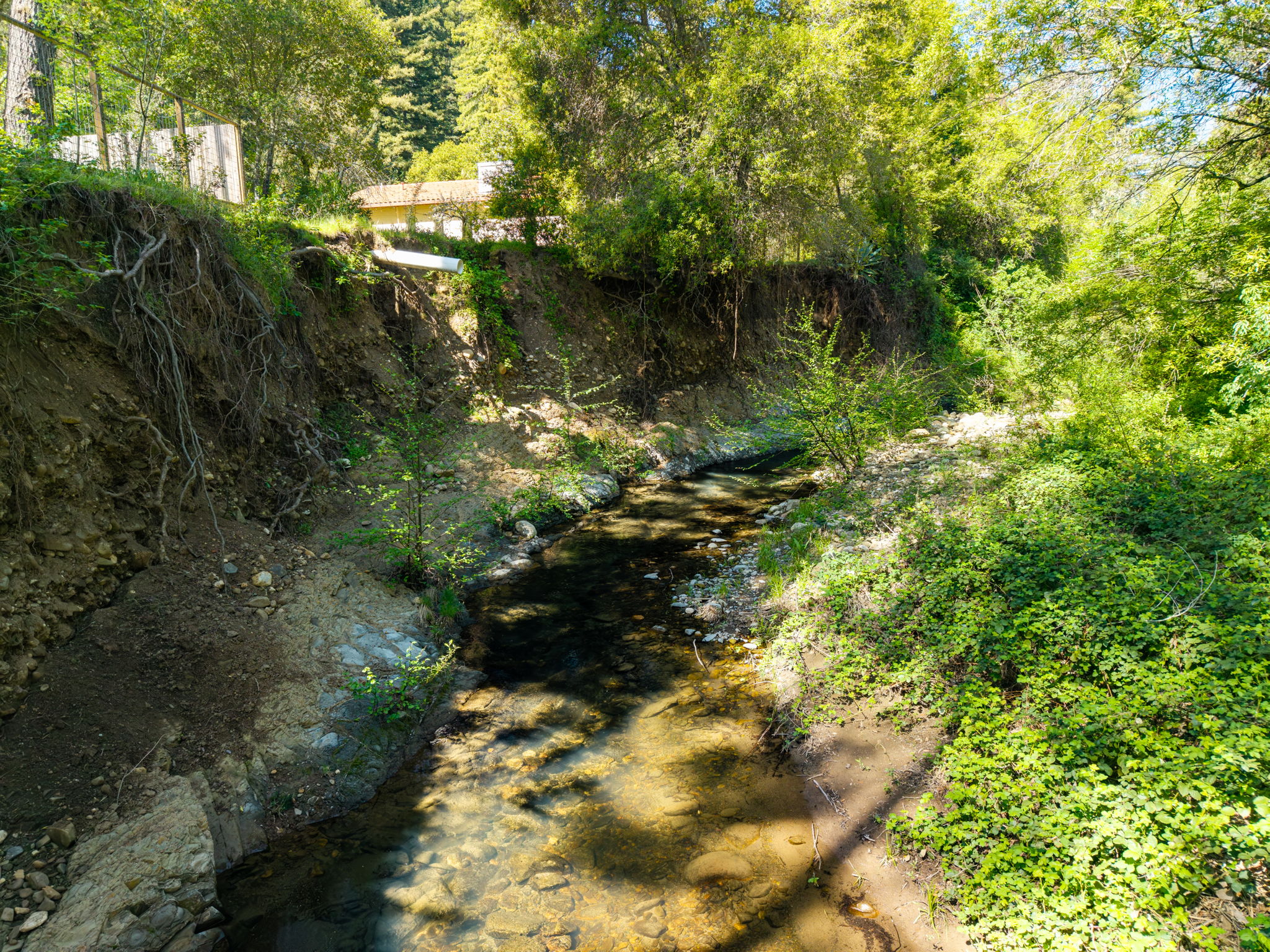  3320 Redwood Road - 物件實景