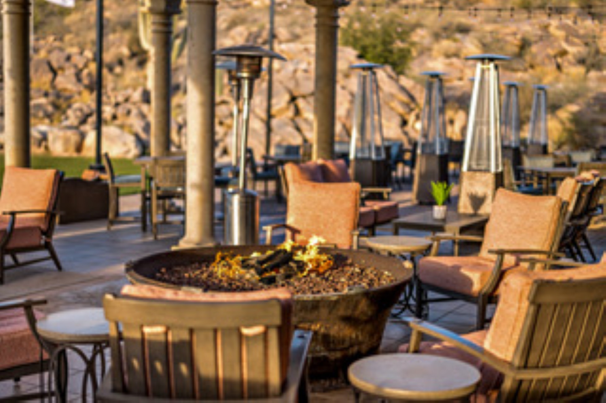  14191 N Giant Saguaro Place¦Oro Valley, AZ - 物件實景