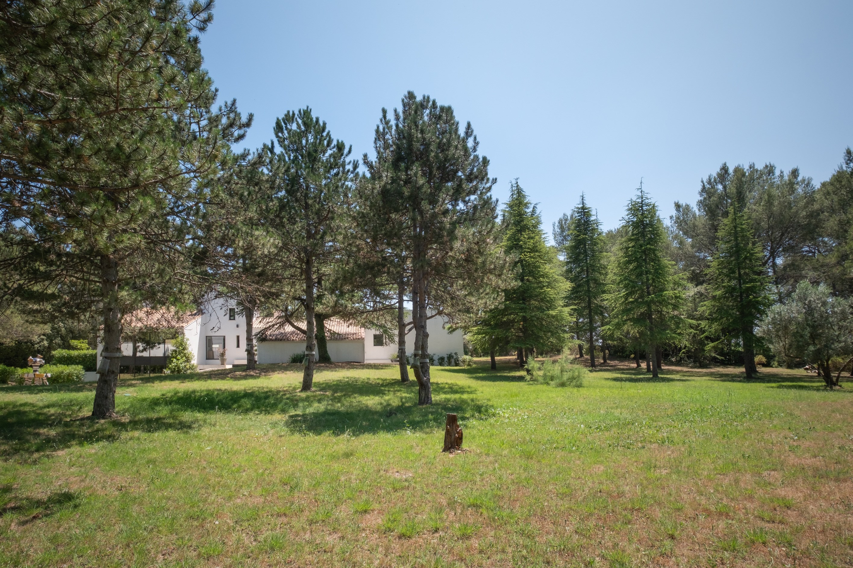  Exceptional property with designer villa, 13,000 m² grounds and rare features - 物件實景
