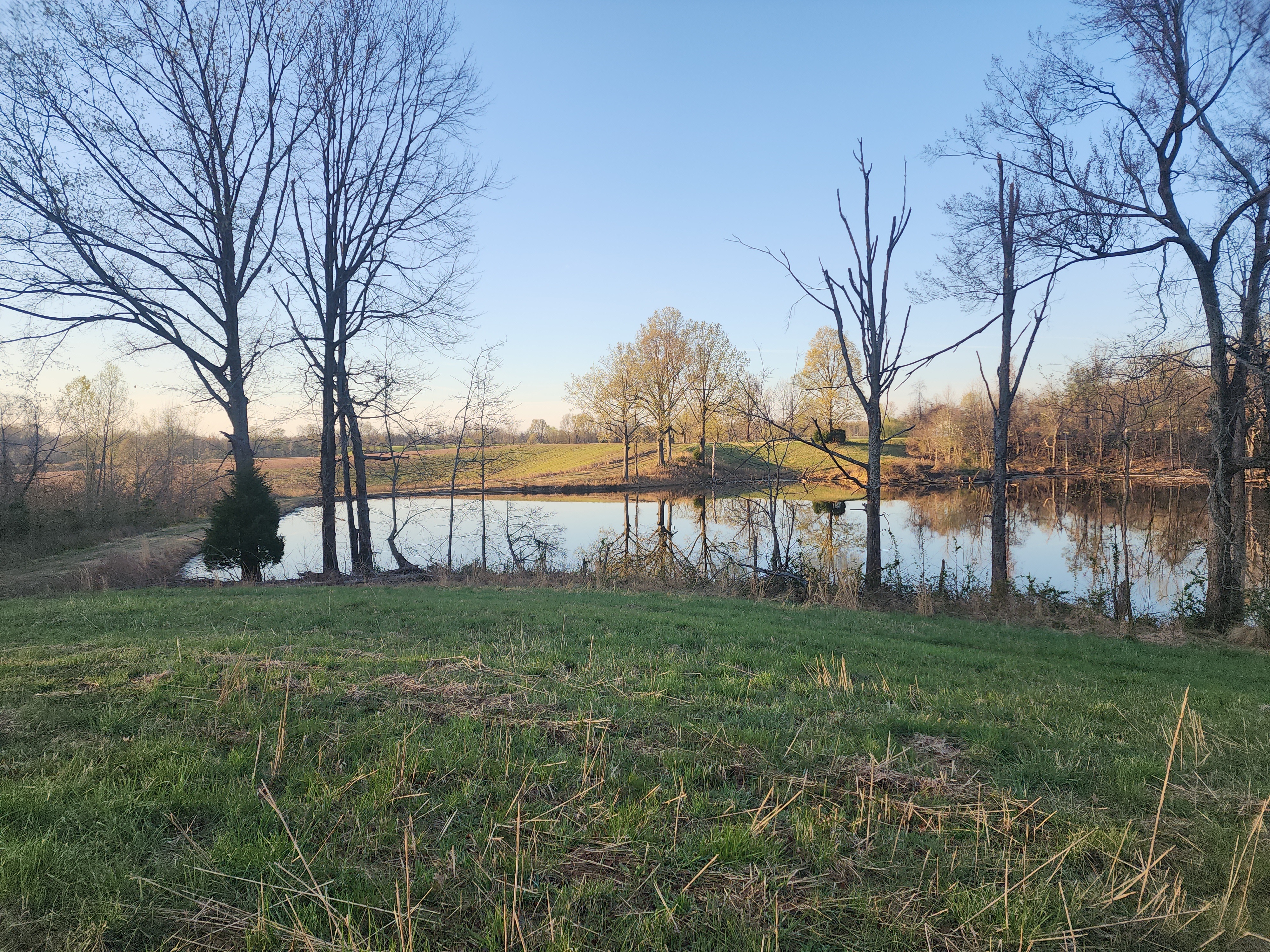 Union City, Tennessee, 38261, United States, ,Land,For Sale,1982811