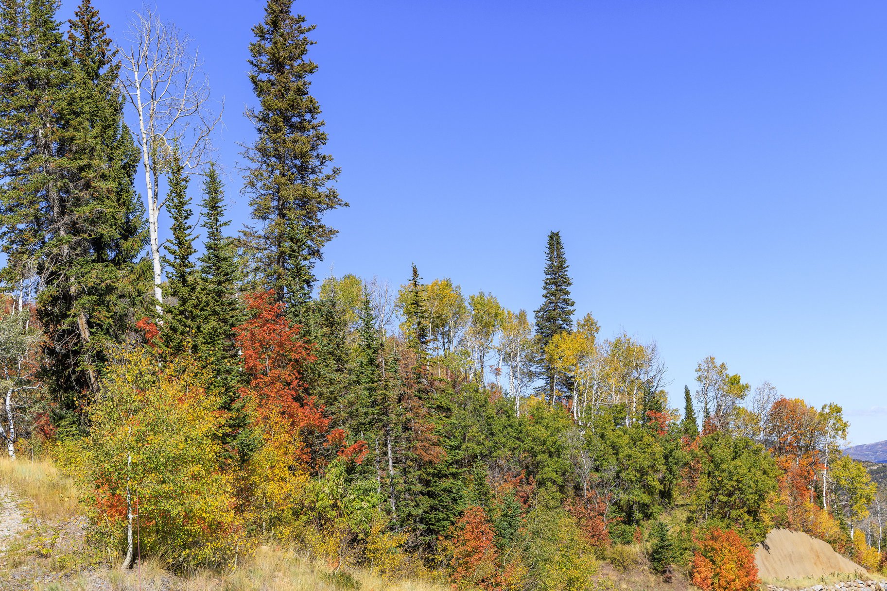  Incredible 28 Acre Estate Lot in the Colony at White Pine Canyon - 物件實景