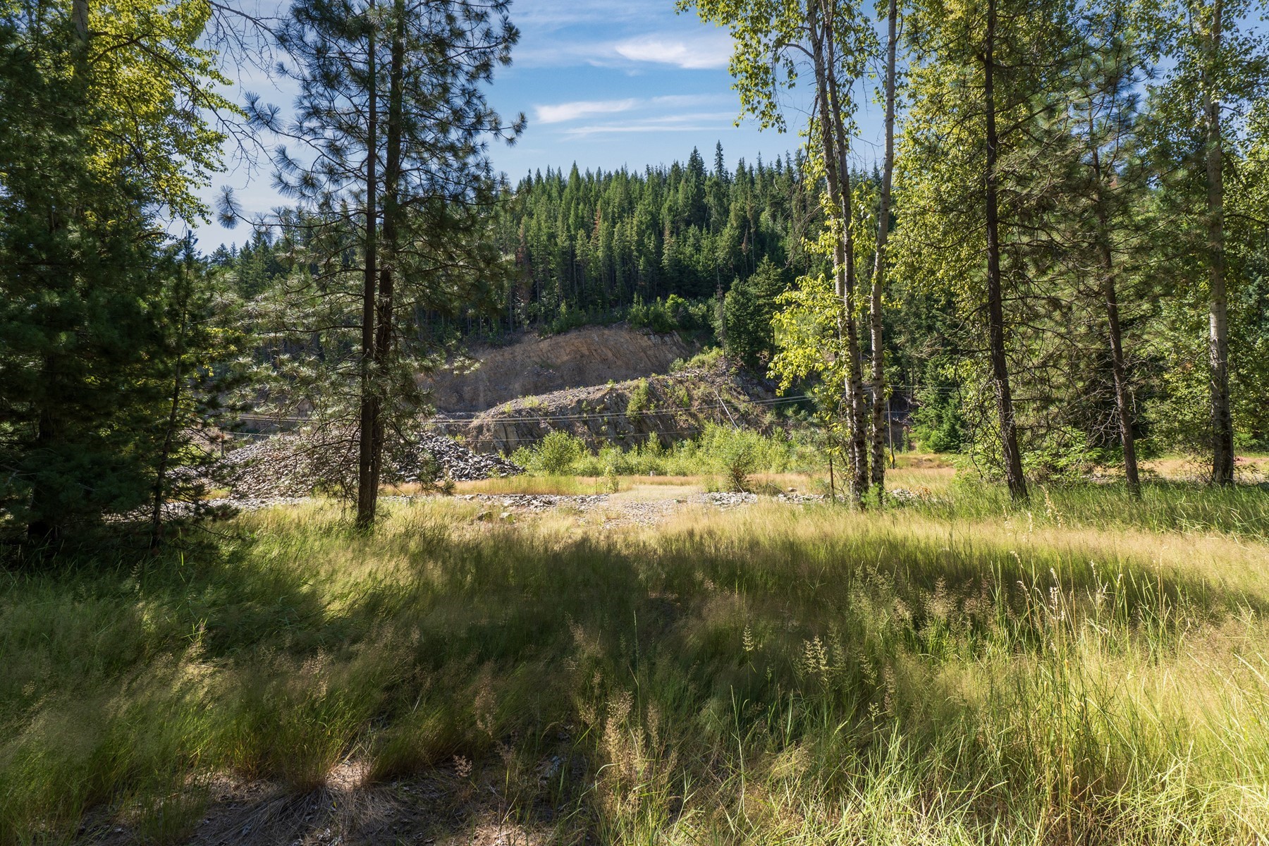  Southfork River Property - 物件實景