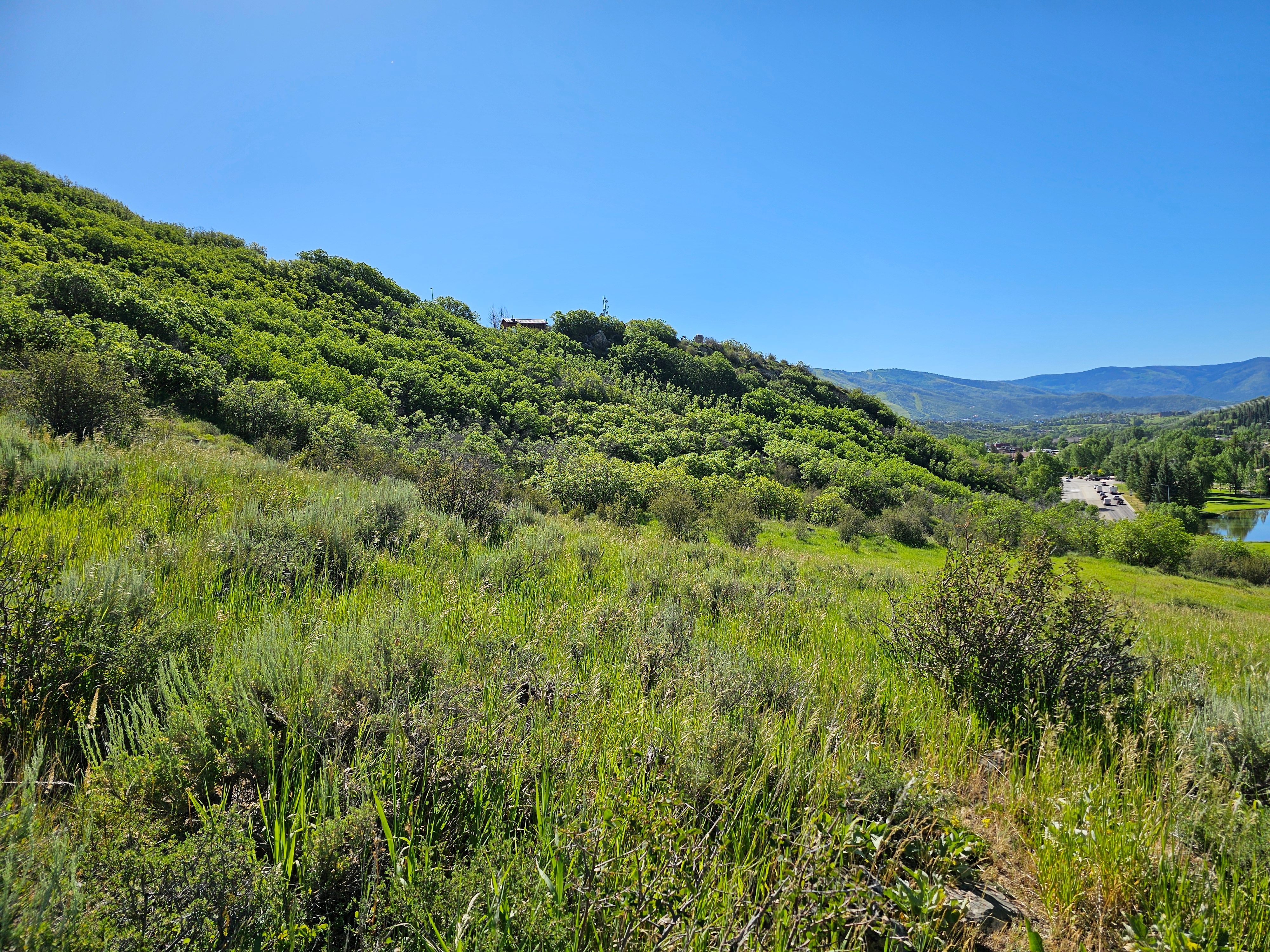  1327 Indian Trail, Steamboat Springs, CO, 80487 - 物件實景