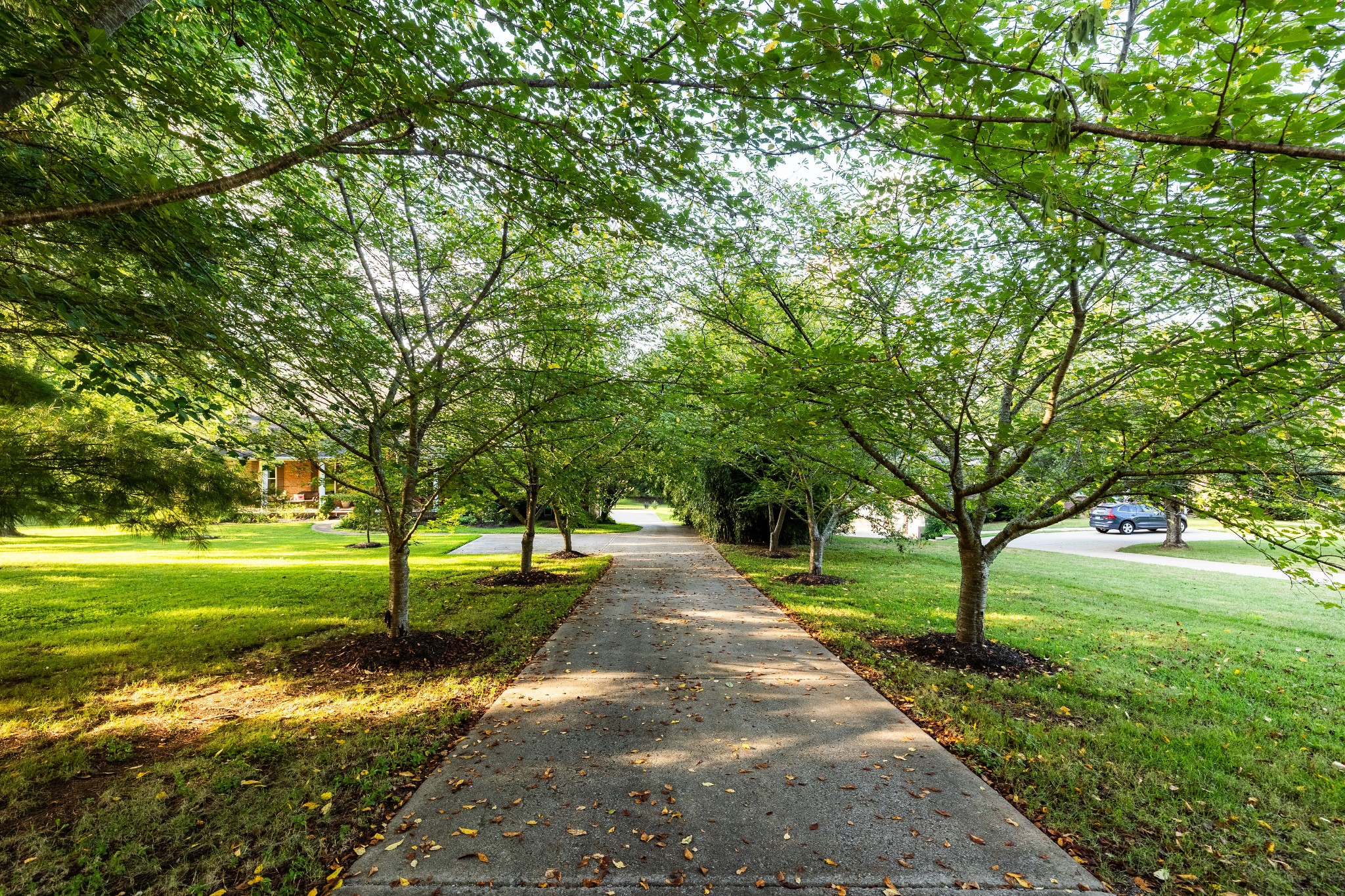 Franklin, Tennessee, 37064, United States, 4 Bedrooms Bedrooms, ,3 BathroomsBathrooms,Residential,For Sale,1855995